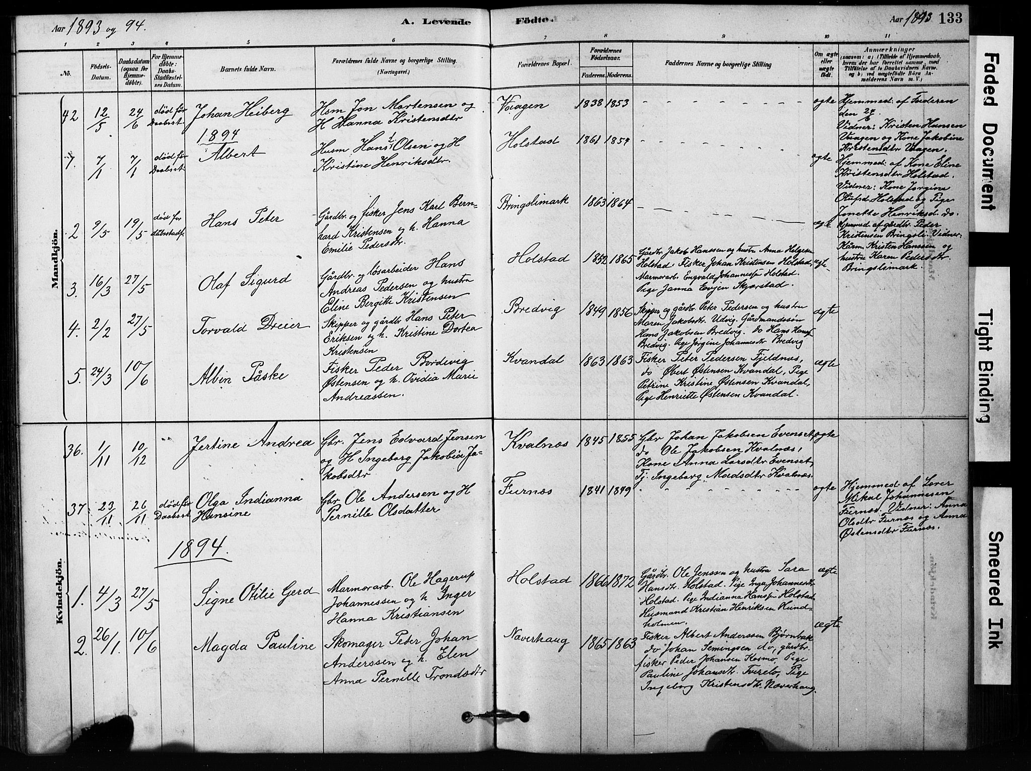 Ministerialprotokoller, klokkerbøker og fødselsregistre - Nordland, AV/SAT-A-1459/852/L0754: Klokkerbok nr. 852C05, 1878-1894, s. 133