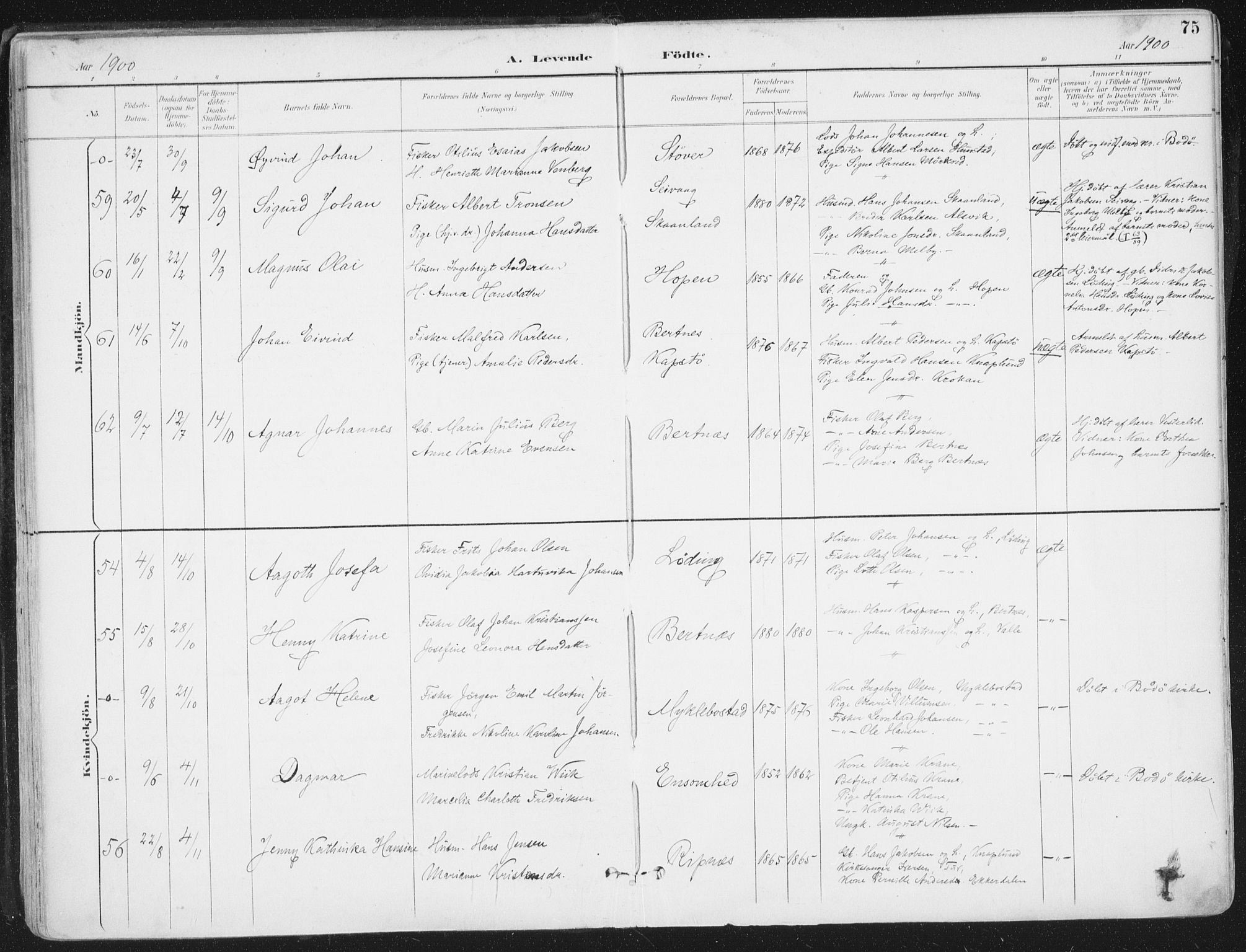 Ministerialprotokoller, klokkerbøker og fødselsregistre - Nordland, AV/SAT-A-1459/802/L0055: Ministerialbok nr. 802A02, 1894-1915, s. 75