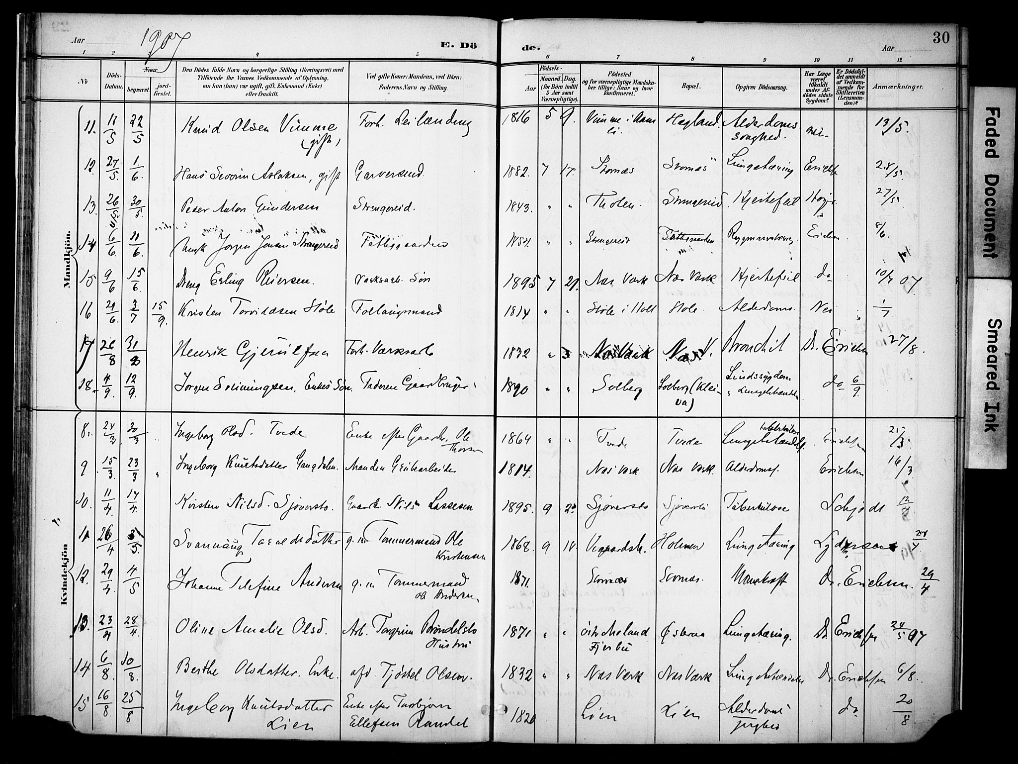 Holt sokneprestkontor, AV/SAK-1111-0021/F/Fa/L0013: Ministerialbok nr. A 13, 1900-1912, s. 30