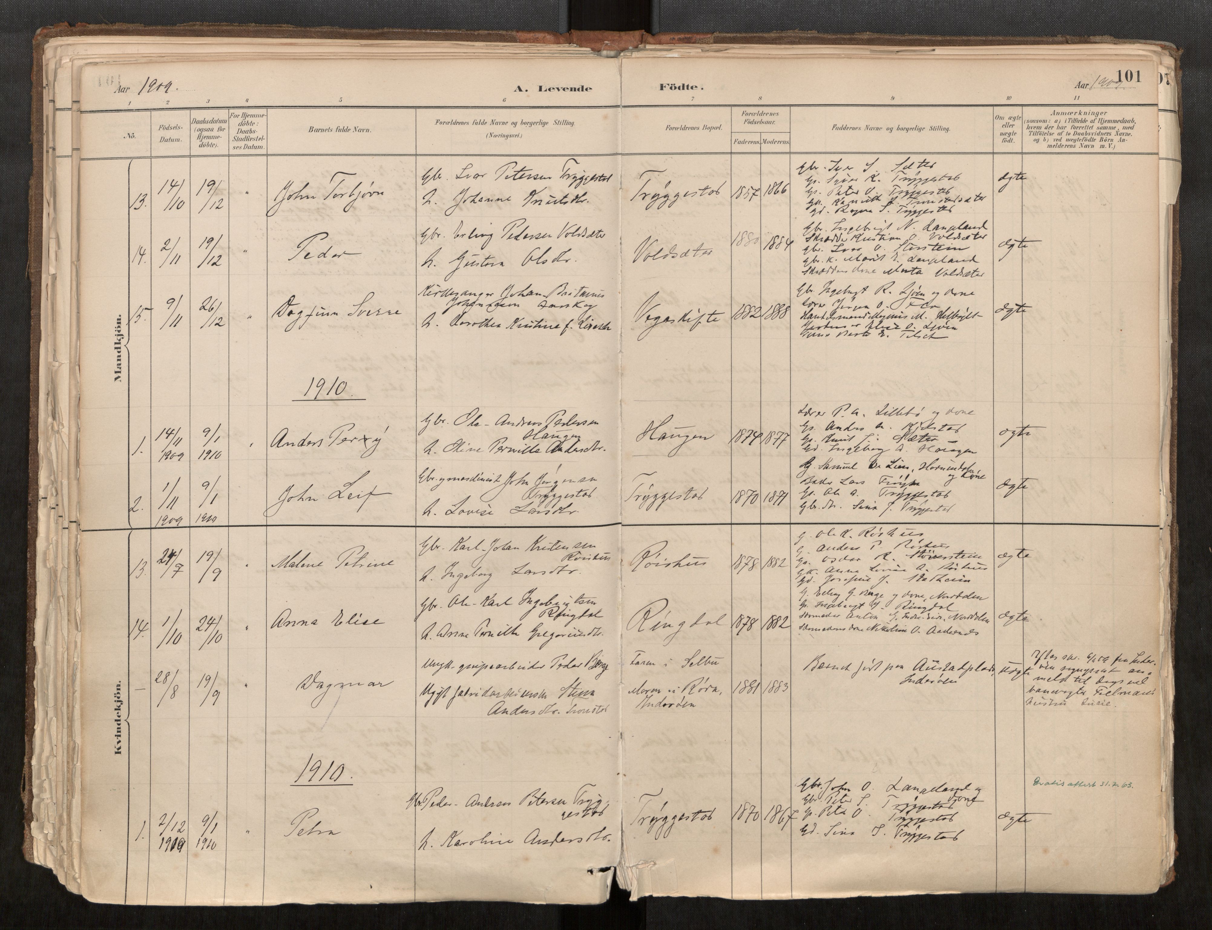 Sunnylven sokneprestkontor, AV/SAT-A-1007/H/Ha/Haa/L0002: Ministerialbok nr. 517A09, 1882-1939, s. 101