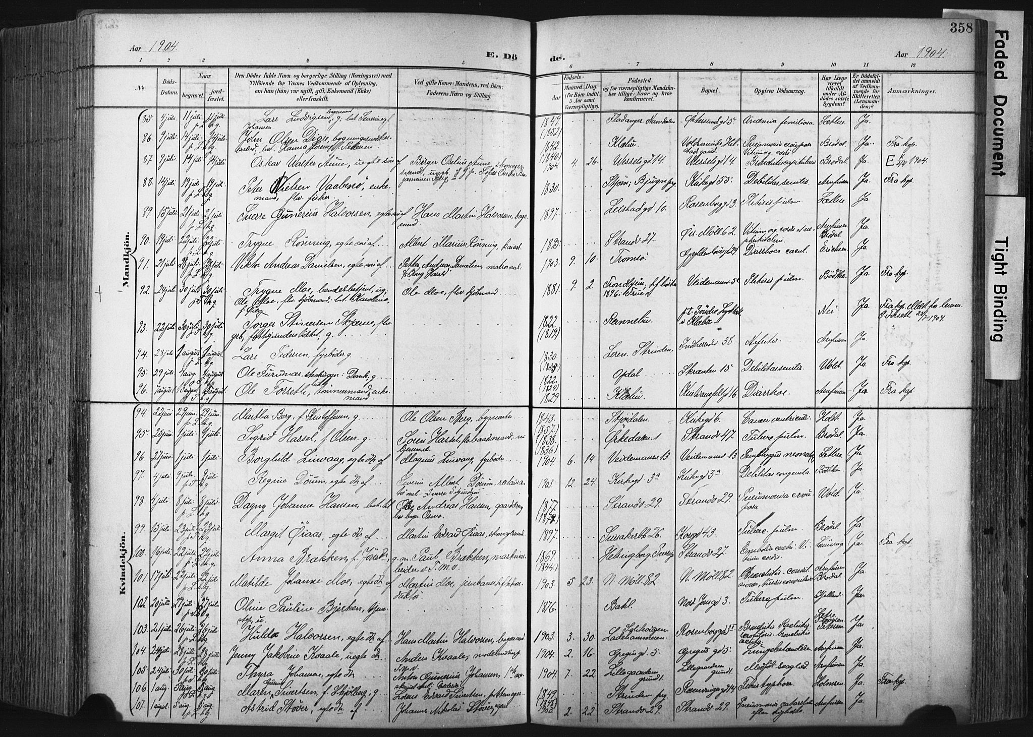 Ministerialprotokoller, klokkerbøker og fødselsregistre - Sør-Trøndelag, SAT/A-1456/604/L0201: Ministerialbok nr. 604A21, 1901-1911, s. 358