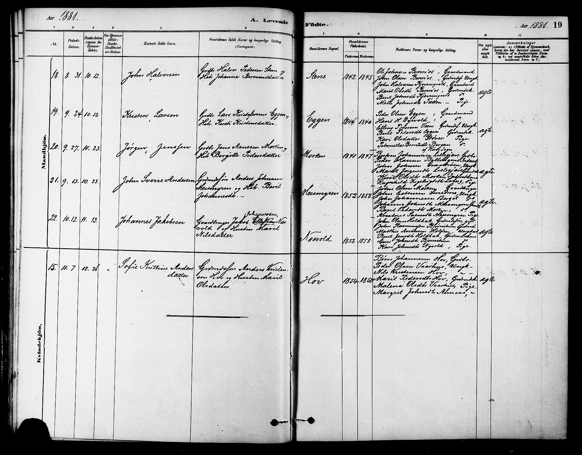 Ministerialprotokoller, klokkerbøker og fødselsregistre - Sør-Trøndelag, AV/SAT-A-1456/686/L0983: Ministerialbok nr. 686A01, 1879-1890, s. 19
