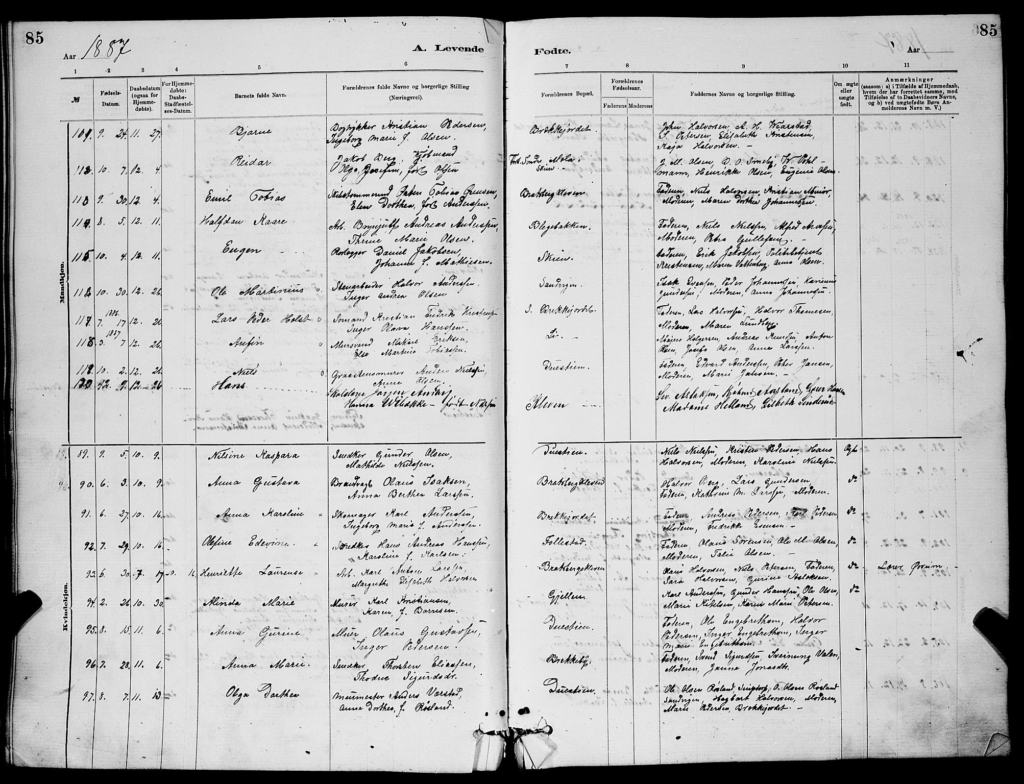 Skien kirkebøker, AV/SAKO-A-302/G/Ga/L0006: Klokkerbok nr. 6, 1881-1890, s. 85