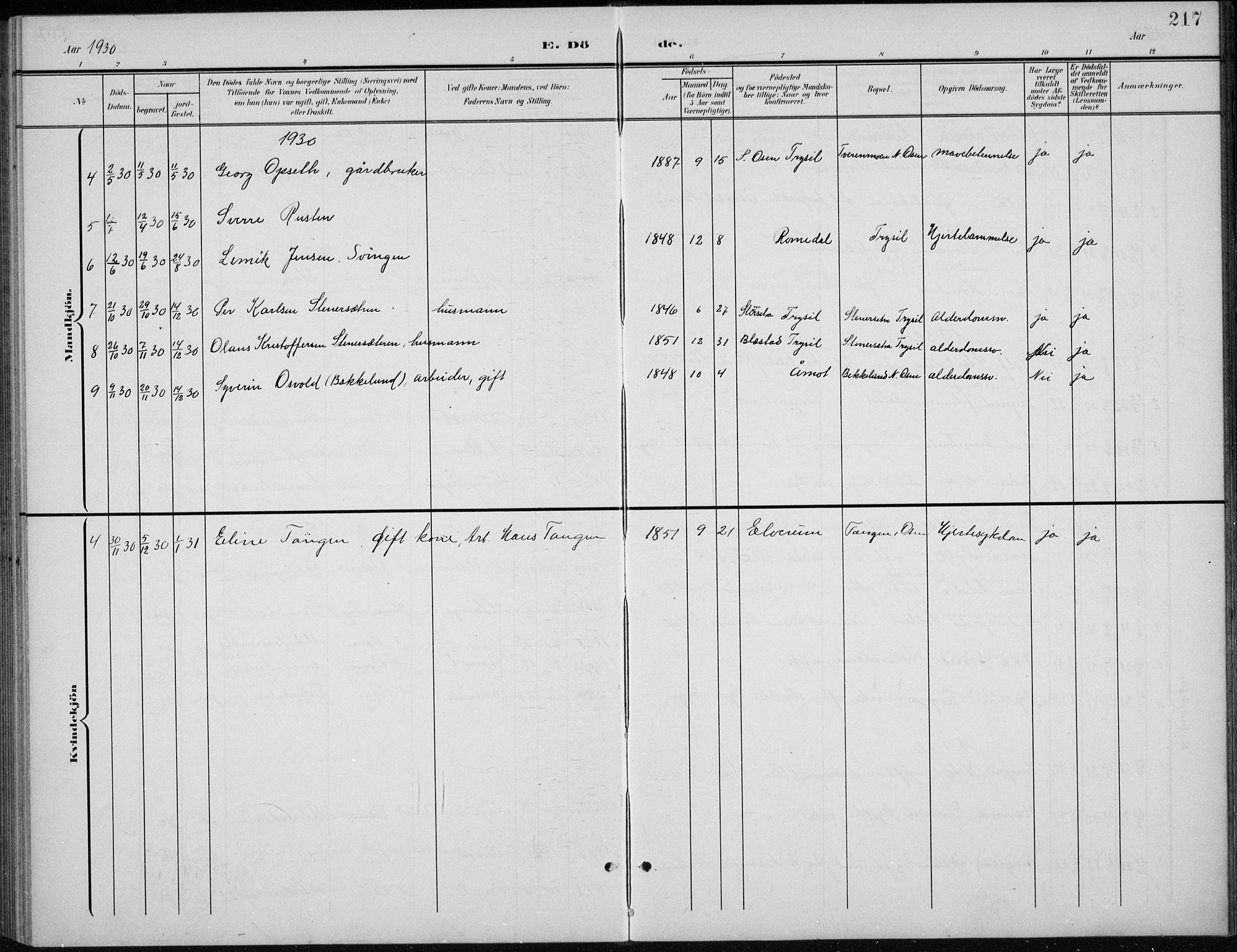 Åmot prestekontor, Hedmark, SAH/PREST-056/H/Ha/Hab/L0003: Klokkerbok nr. 3, 1902-1938, s. 217