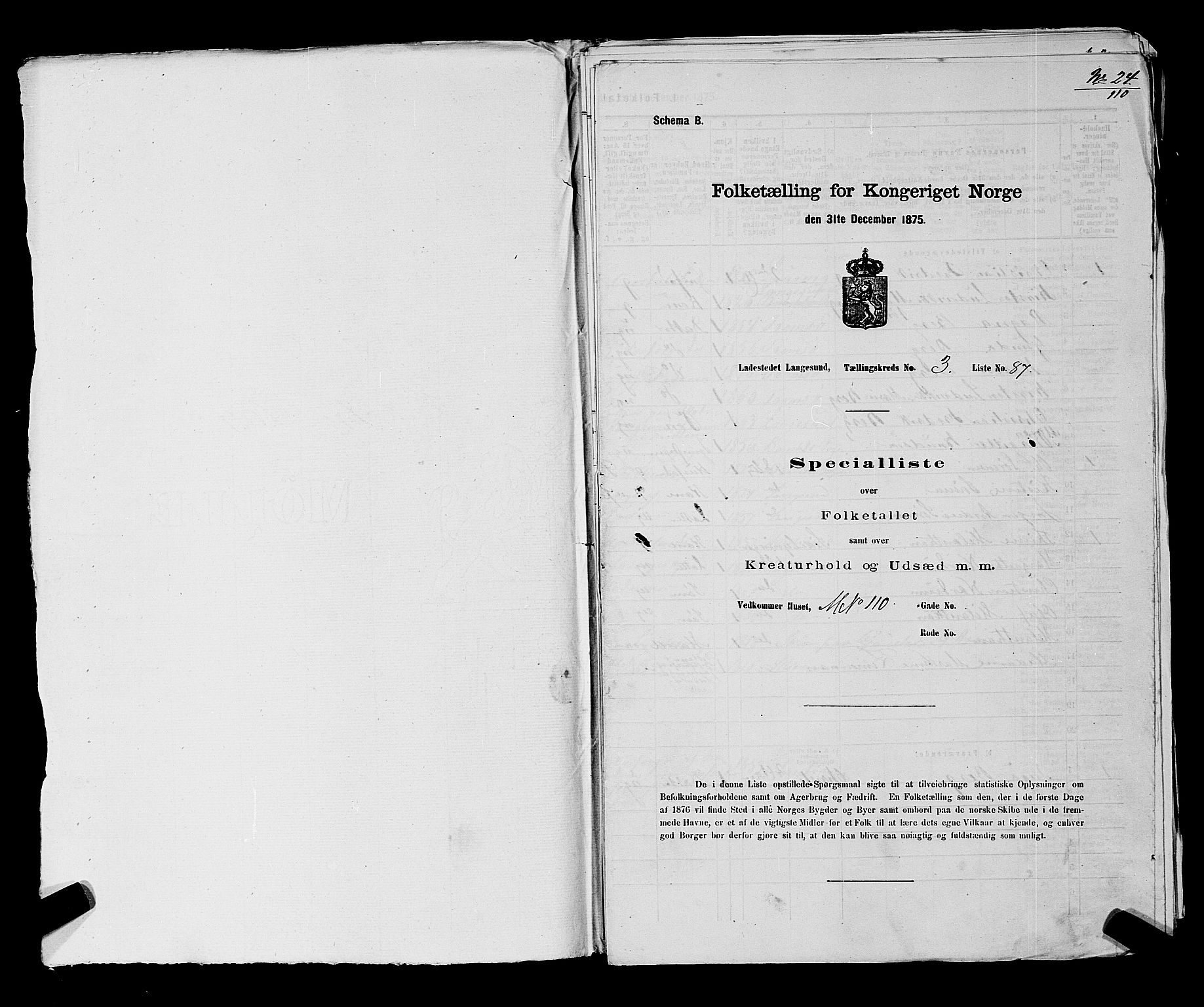 SAKO, Folketelling 1875 for 0802B Bamble prestegjeld, Langesund ladested, 1875, s. 194