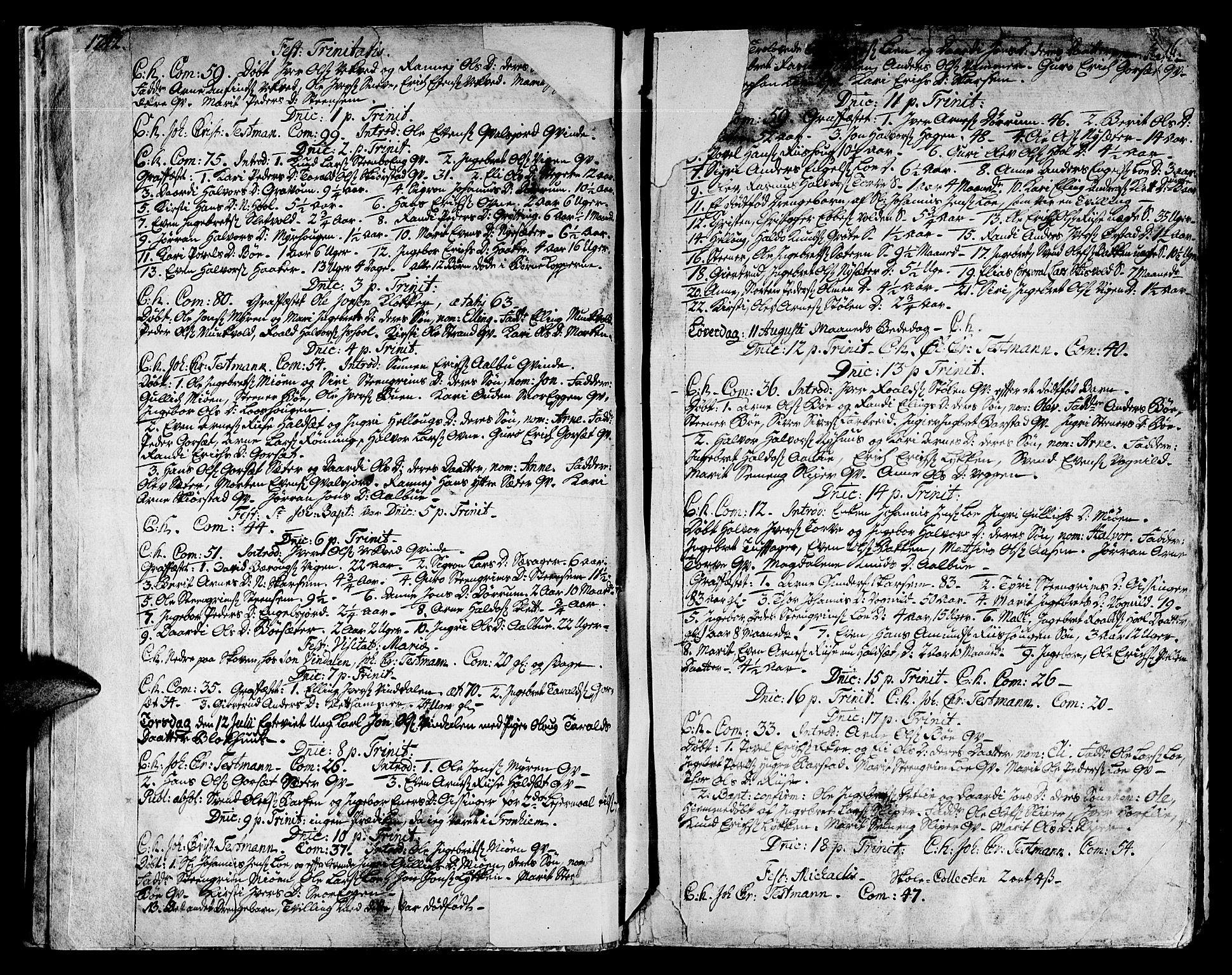 Ministerialprotokoller, klokkerbøker og fødselsregistre - Sør-Trøndelag, SAT/A-1456/678/L0891: Ministerialbok nr. 678A01, 1739-1780, s. 16