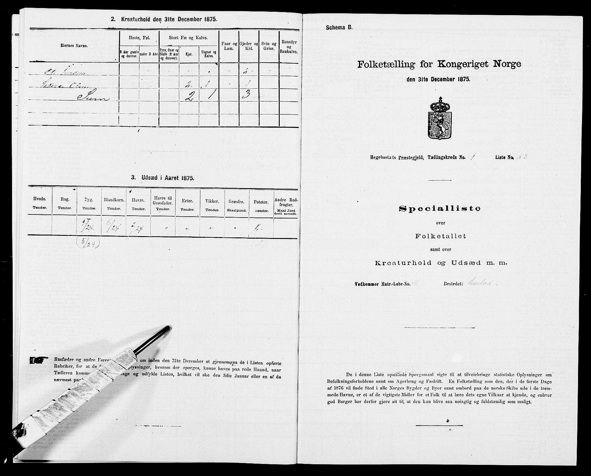 SAK, Folketelling 1875 for 1034P Hægebostad prestegjeld, 1875, s. 88