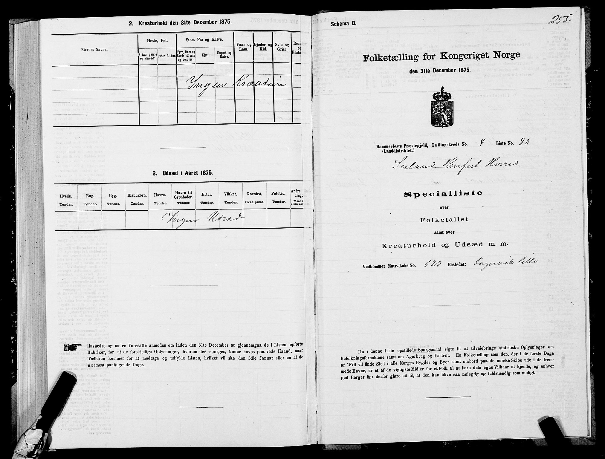 SATØ, Folketelling 1875 for 2016L Hammerfest prestegjeld, Hammerfest landsokn og Kvalsund sokn, 1875, s. 1255