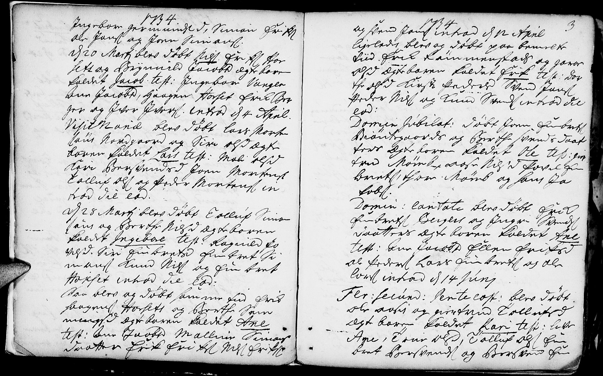 Rendalen prestekontor, AV/SAH-PREST-054/H/Ha/Haa/L0001: Ministerialbok nr. 1, 1733-1787, s. 3