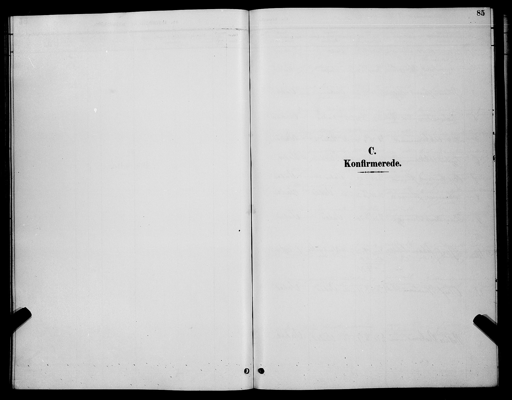 Vadsø sokneprestkontor, SATØ/S-1325/H/Hb/L0004klokker: Klokkerbok nr. 4, 1885-1895, s. 85