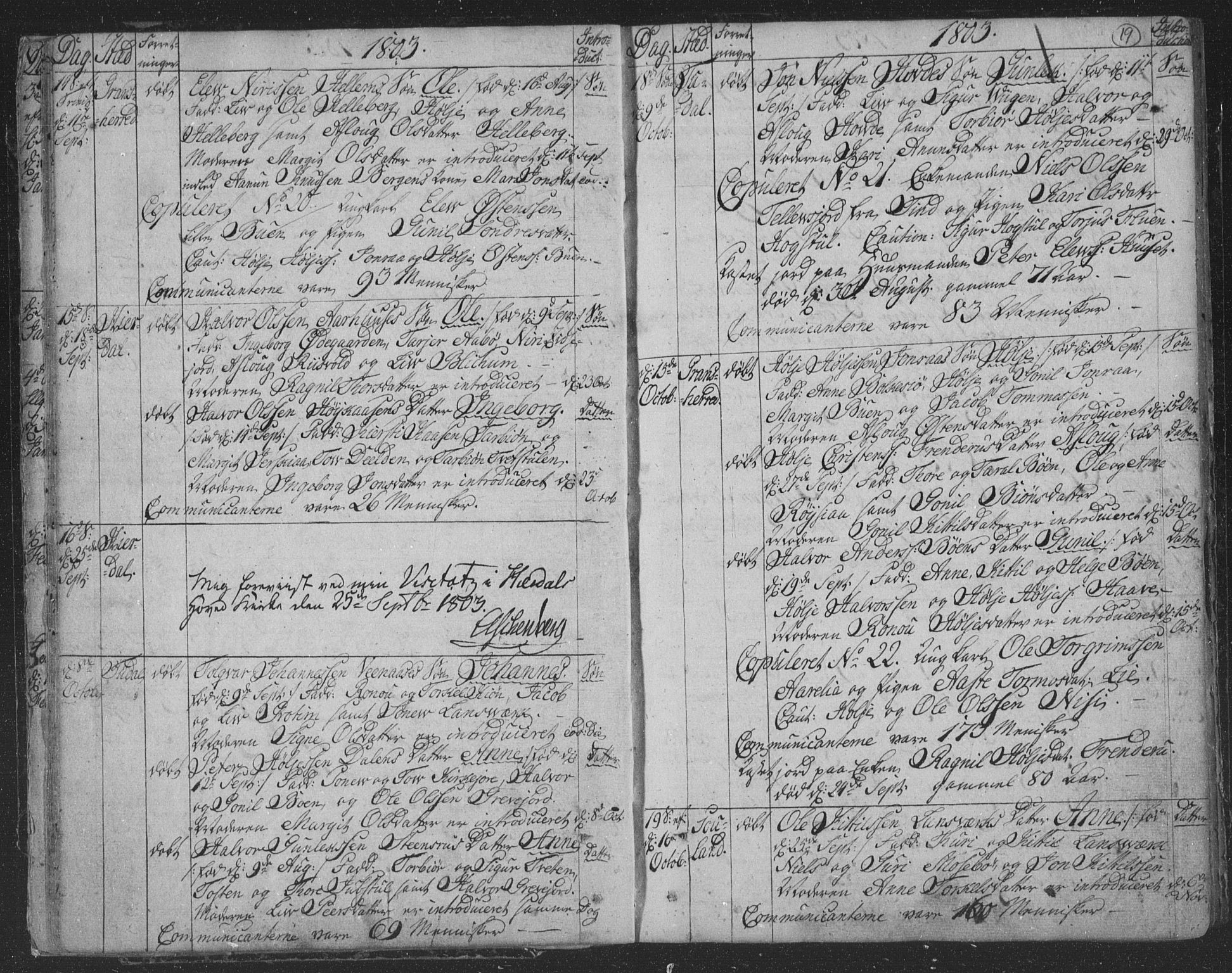 Hjartdal kirkebøker, AV/SAKO-A-270/F/Fa/L0006: Ministerialbok nr. I 6, 1801-1814, s. 19