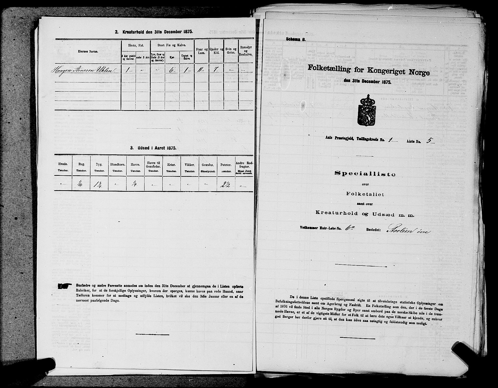 SAKO, Folketelling 1875 for 0619P Ål prestegjeld, 1875, s. 28