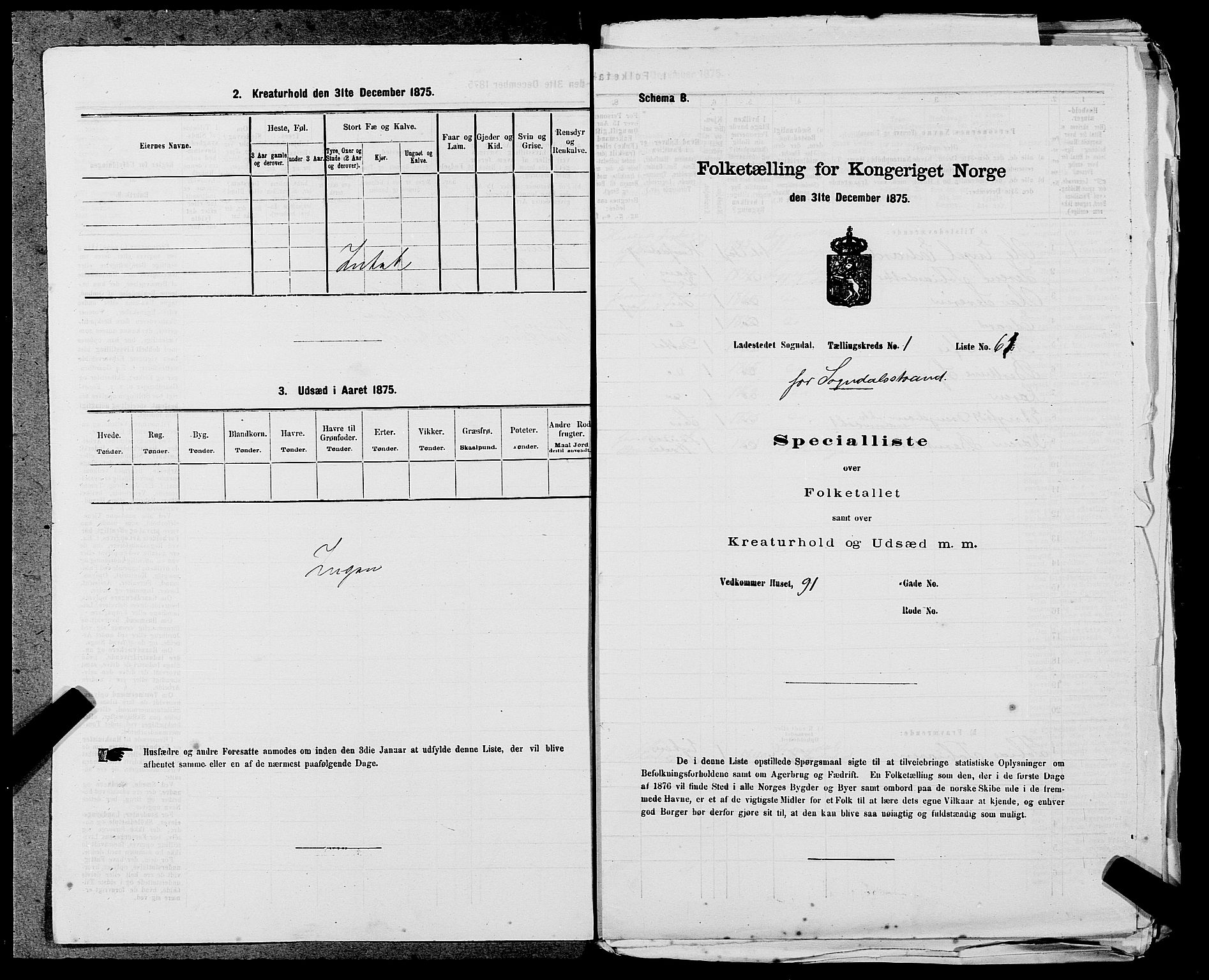 SAST, Folketelling 1875 for 1107B Sokndal prestegjeld, Sokndal ladested, 1875, s. 125