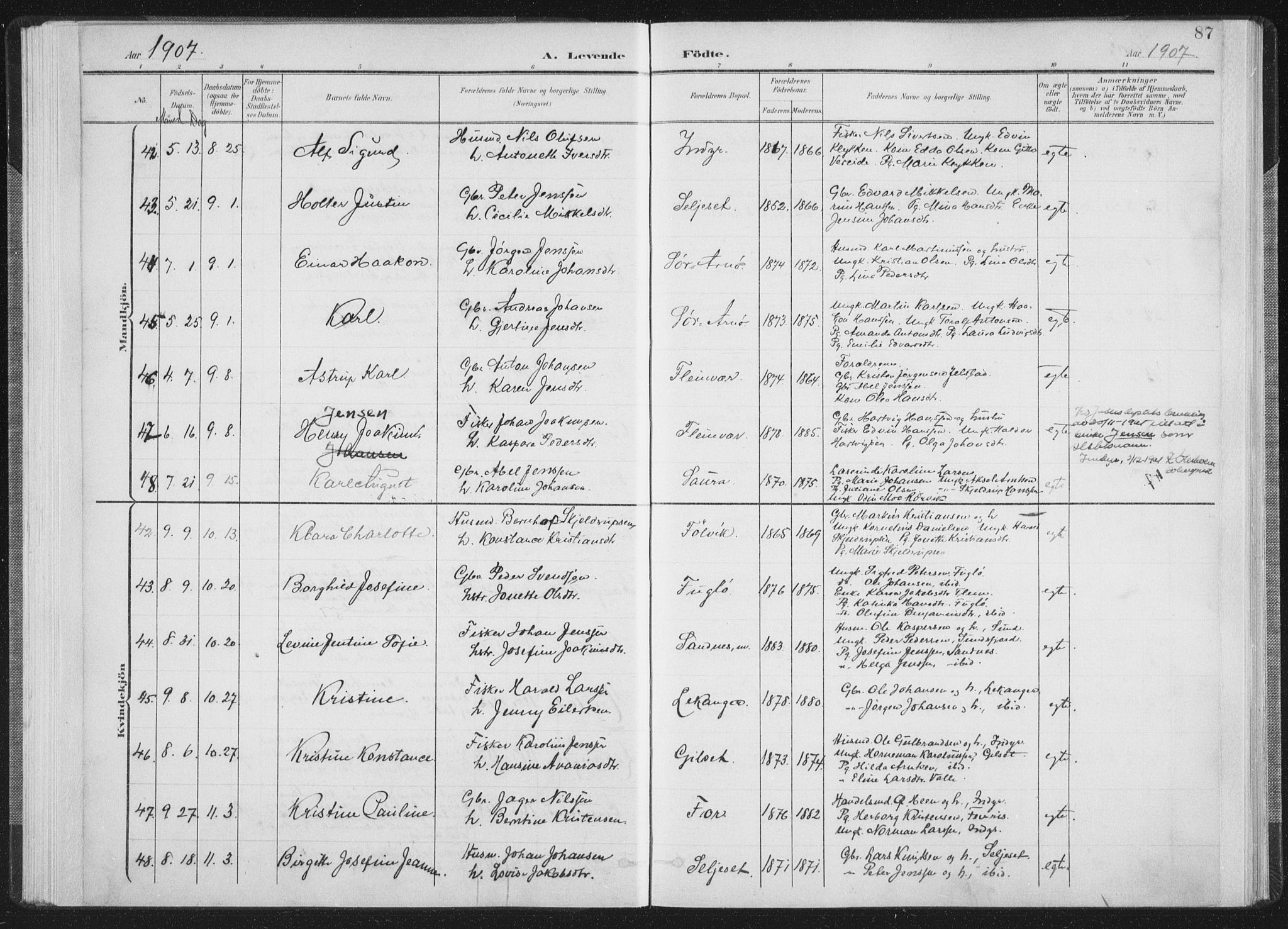 Ministerialprotokoller, klokkerbøker og fødselsregistre - Nordland, SAT/A-1459/805/L0102: Ministerialbok nr. 805A08I, 1900-1909, s. 87