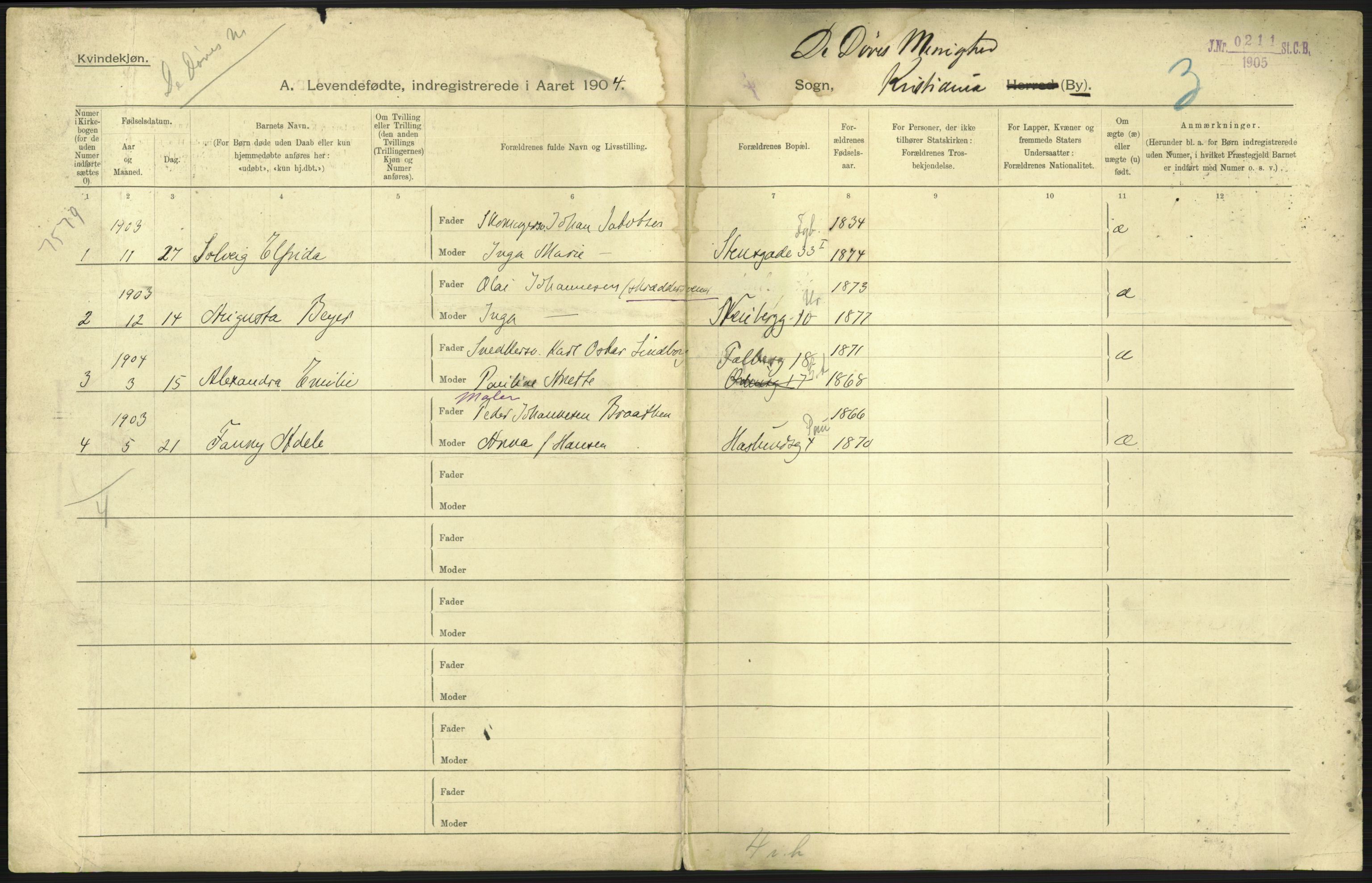 Statistisk sentralbyrå, Sosiodemografiske emner, Befolkning, AV/RA-S-2228/D/Df/Dfa/Dfab/L0003: Kristiania: Fødte, 1904, s. 43