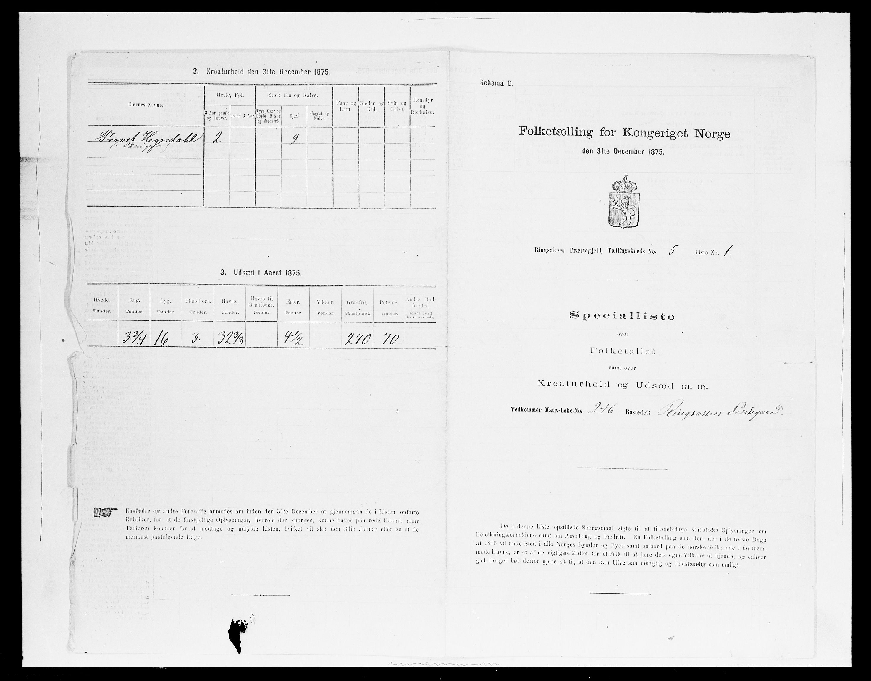 SAH, Folketelling 1875 for 0412P Ringsaker prestegjeld, 1875, s. 928