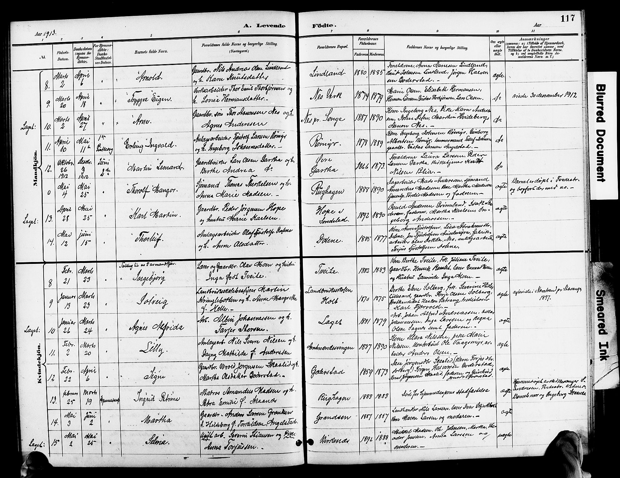 Holt sokneprestkontor, AV/SAK-1111-0021/F/Fb/L0011: Klokkerbok nr. B 11, 1897-1921, s. 117