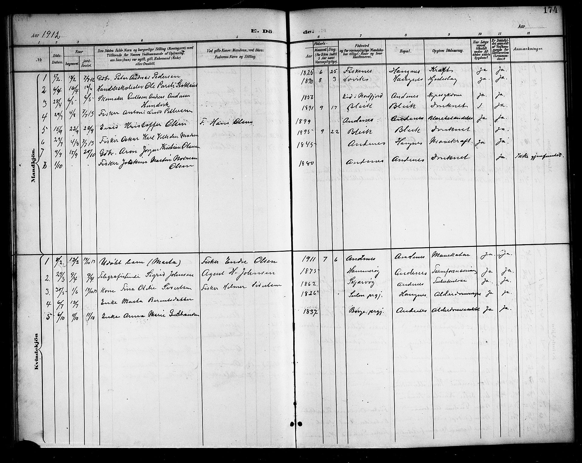 Ministerialprotokoller, klokkerbøker og fødselsregistre - Nordland, AV/SAT-A-1459/899/L1449: Klokkerbok nr. 899C04, 1900-1918, s. 174