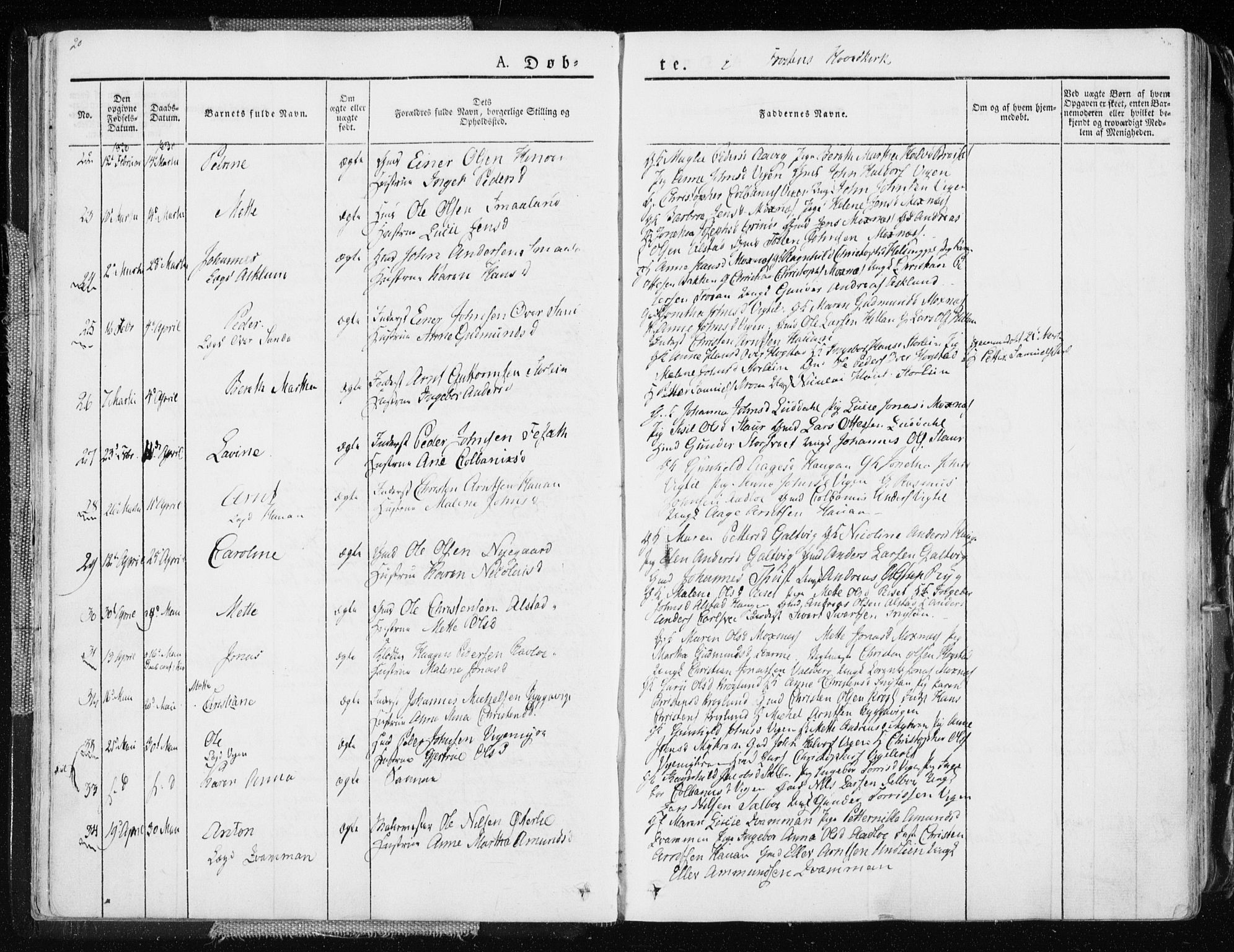 Ministerialprotokoller, klokkerbøker og fødselsregistre - Nord-Trøndelag, AV/SAT-A-1458/713/L0114: Ministerialbok nr. 713A05, 1827-1839, s. 20
