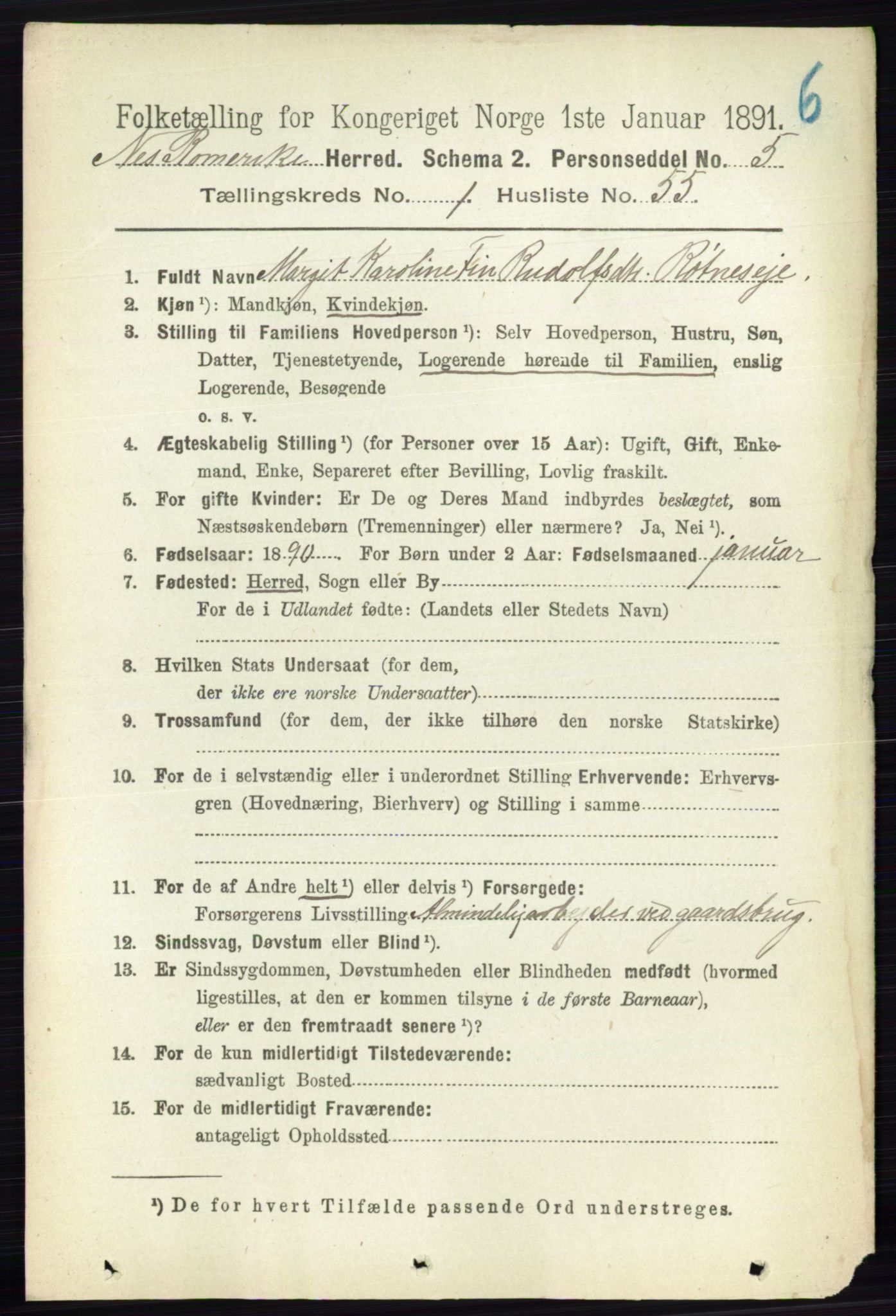 RA, Folketelling 1891 for 0236 Nes herred, 1891, s. 507