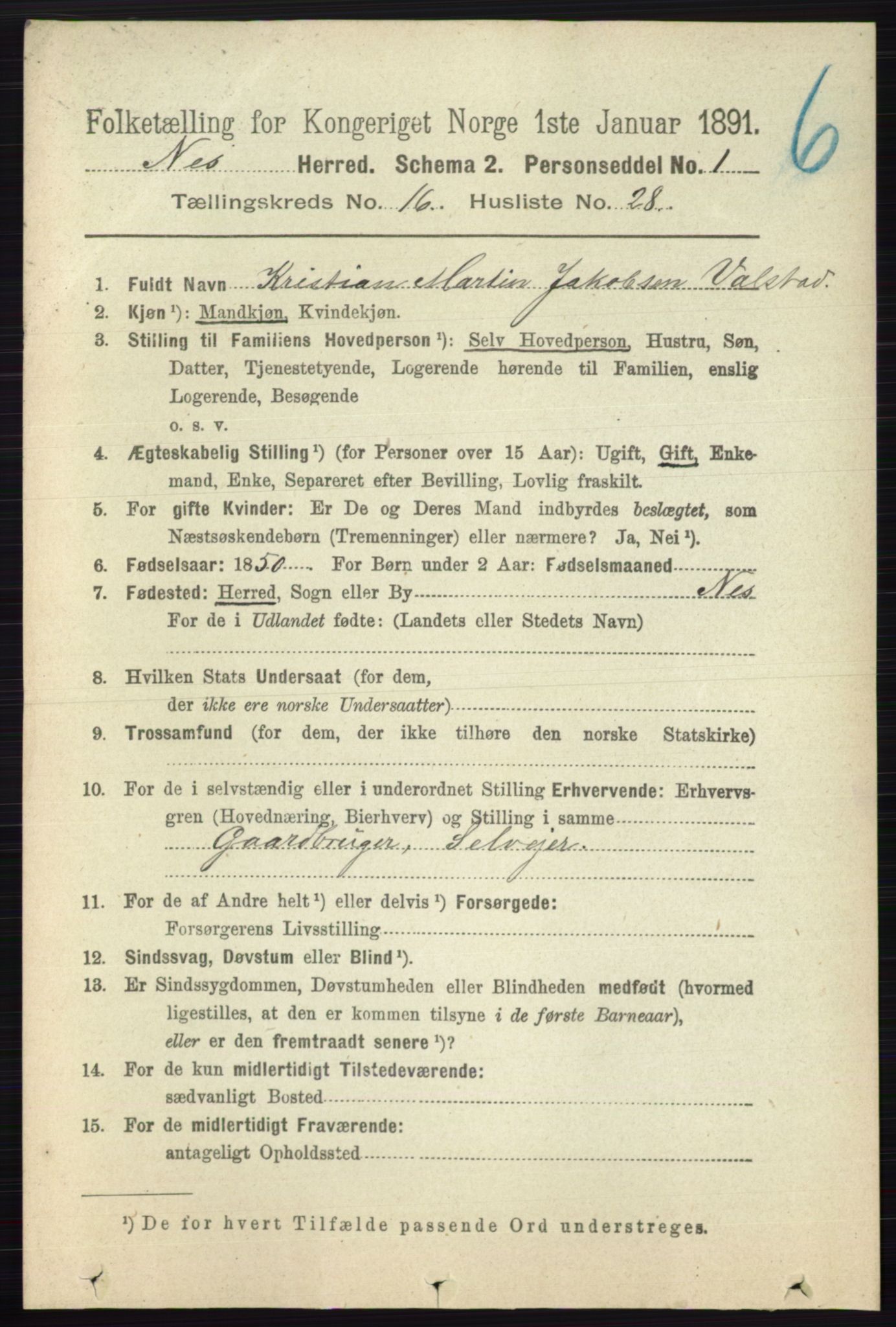 RA, Folketelling 1891 for 0236 Nes herred, 1891, s. 9721