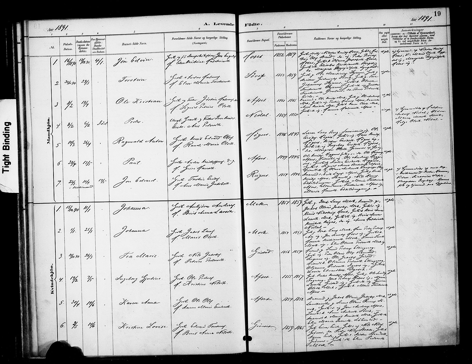 Ministerialprotokoller, klokkerbøker og fødselsregistre - Møre og Romsdal, SAT/A-1454/568/L0809: Ministerialbok nr. 568A13, 1884-1900, s. 19