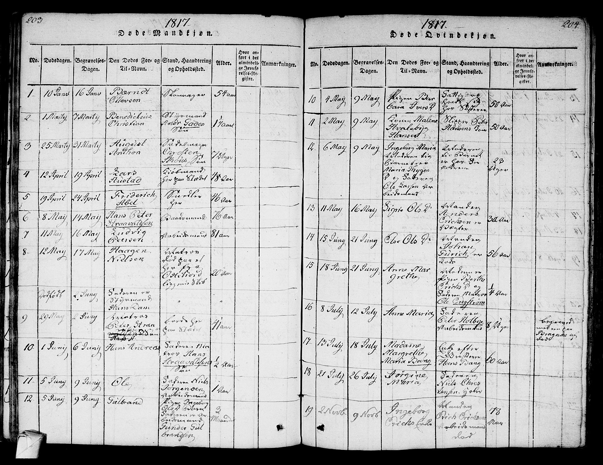 Strømsø kirkebøker, AV/SAKO-A-246/F/Fa/L0011: Ministerialbok nr. I 11, 1815-1829, s. 203-204