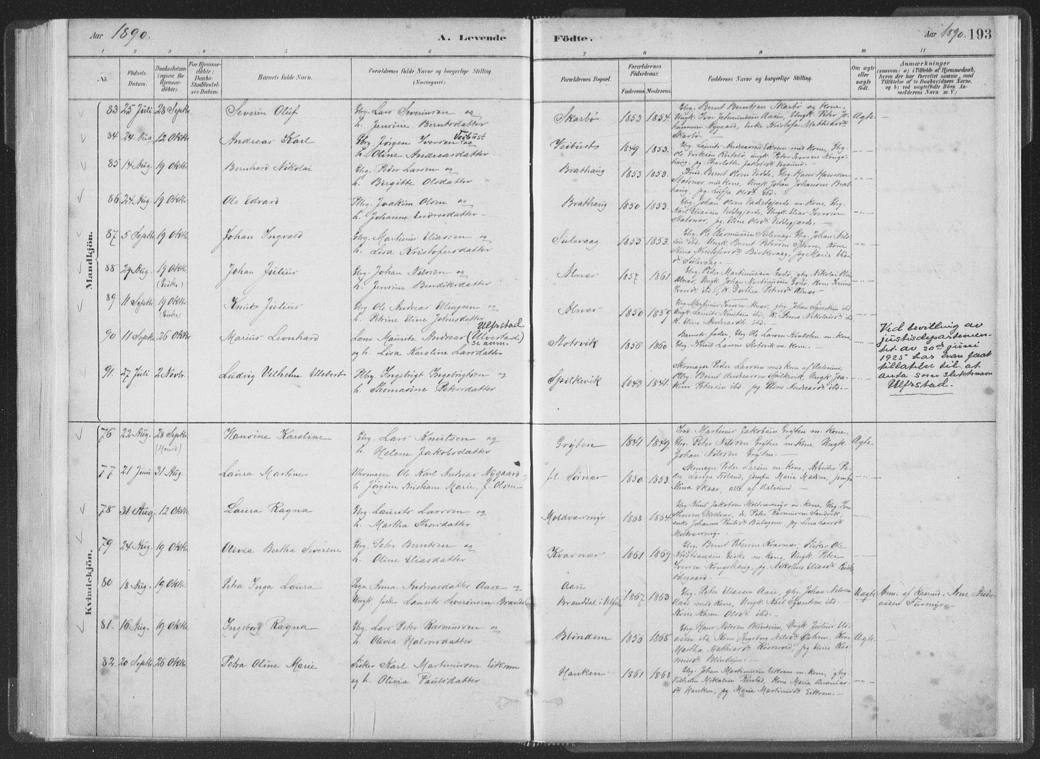 Ministerialprotokoller, klokkerbøker og fødselsregistre - Møre og Romsdal, AV/SAT-A-1454/528/L0401: Ministerialbok nr. 528A12I, 1880-1920, s. 193