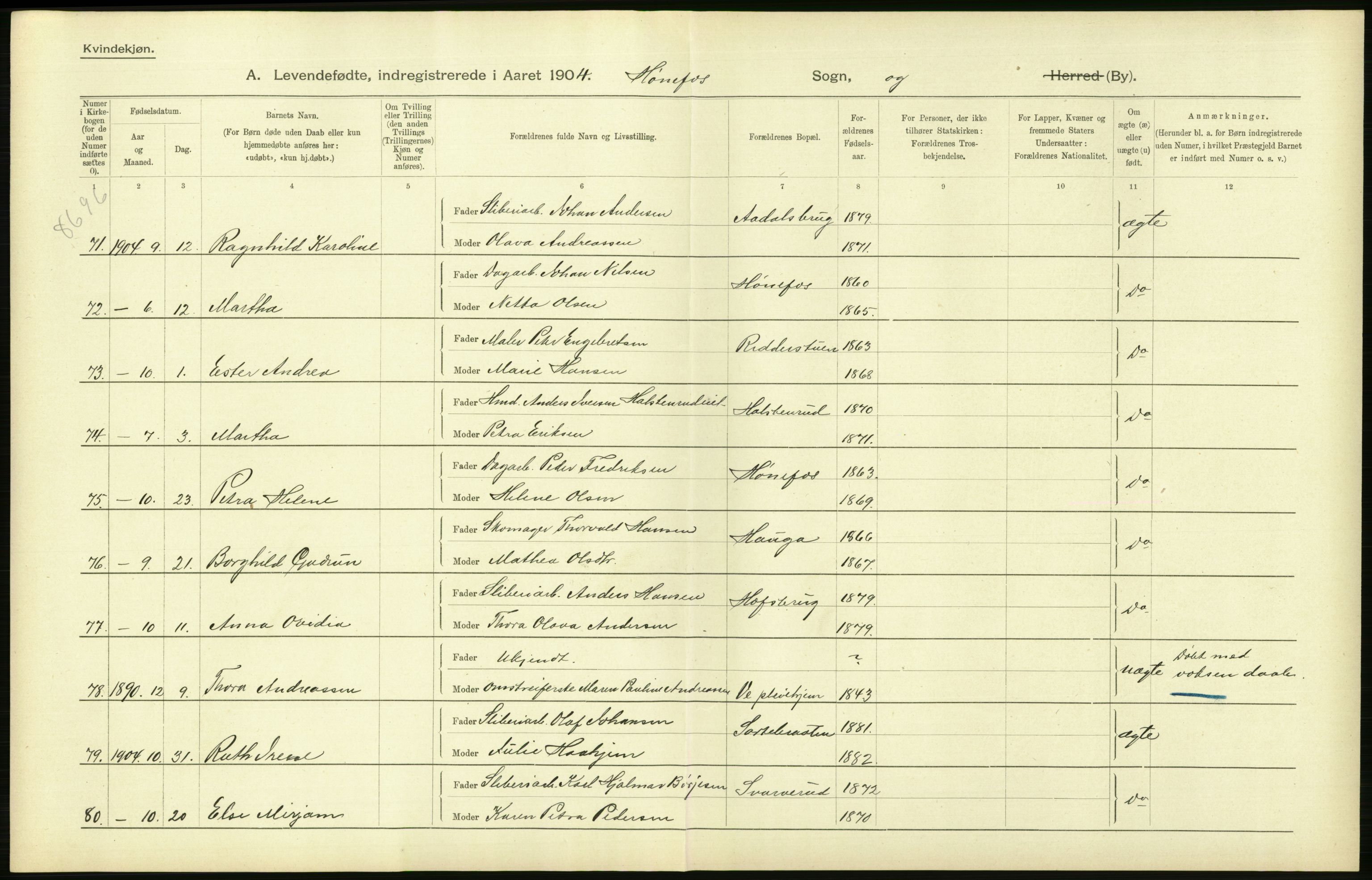 Statistisk sentralbyrå, Sosiodemografiske emner, Befolkning, AV/RA-S-2228/D/Df/Dfa/Dfab/L0007: Buskerud amt: Fødte, gifte, døde, 1904, s. 360