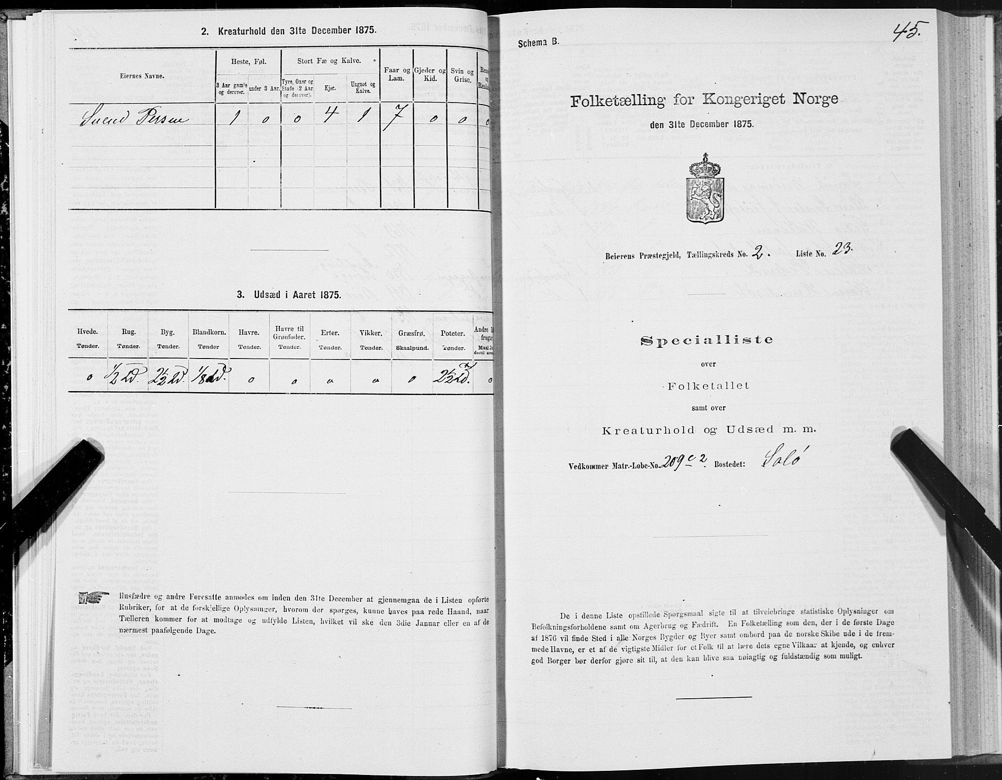 SAT, Folketelling 1875 for 1839P Beiarn prestegjeld, 1875, s. 2045