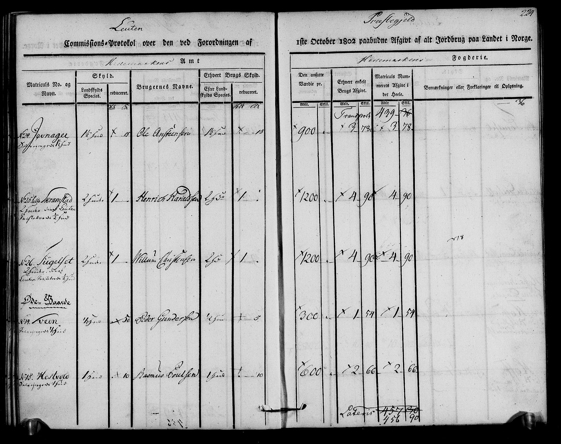 Rentekammeret inntil 1814, Realistisk ordnet avdeling, AV/RA-EA-4070/N/Ne/Nea/L0033: Hedmark fogderi. Kommisjonsprotokoll, 1803, s. 226