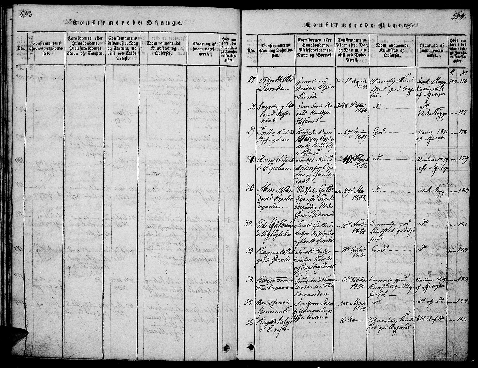 Sør-Aurdal prestekontor, AV/SAH-PREST-128/H/Ha/Hab/L0001: Klokkerbok nr. 1, 1815-1826, s. 528-529