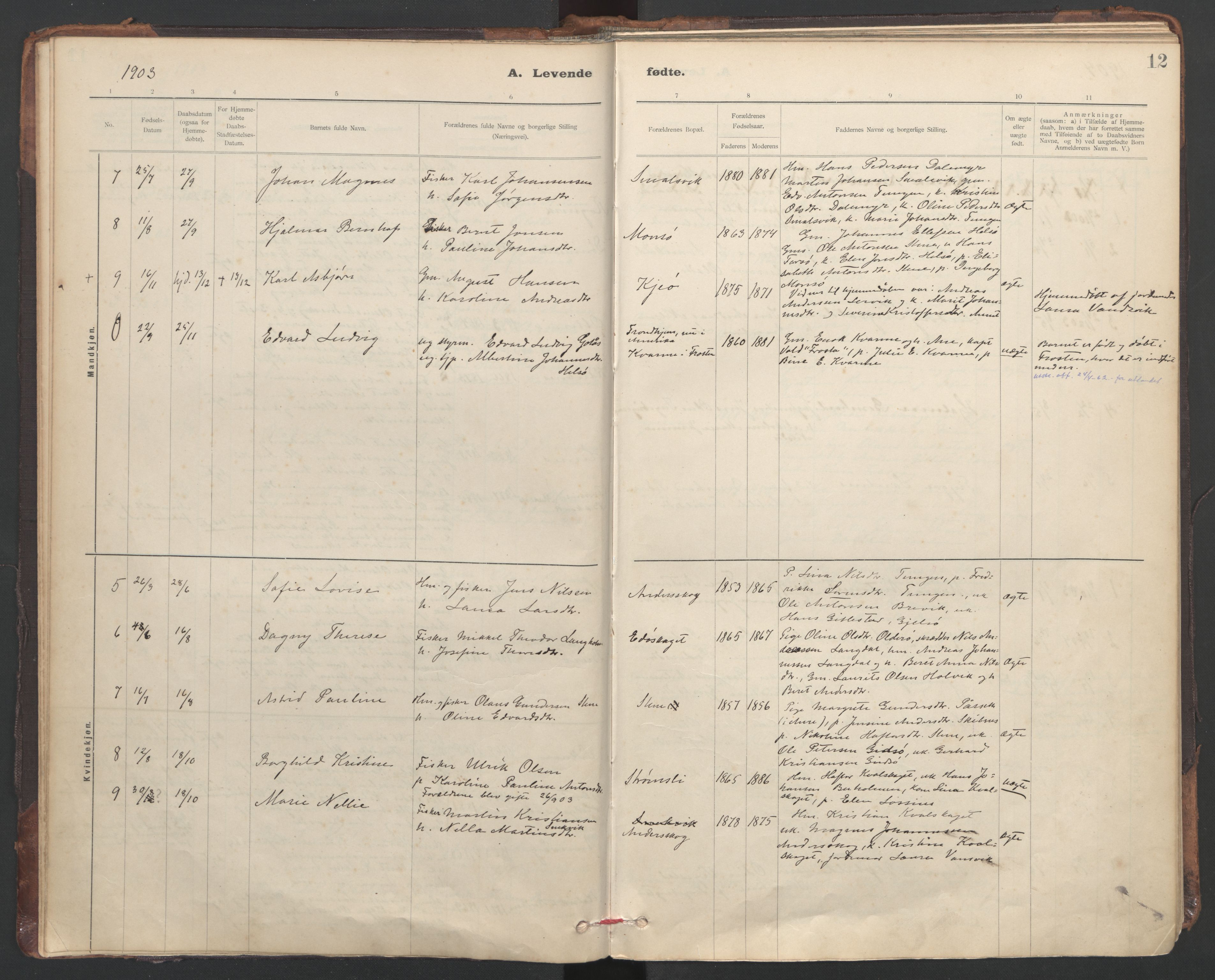 Ministerialprotokoller, klokkerbøker og fødselsregistre - Sør-Trøndelag, SAT/A-1456/635/L0552: Ministerialbok nr. 635A02, 1899-1919, s. 12