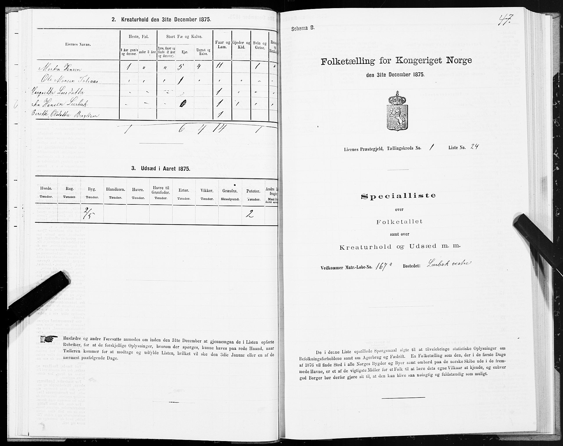 SAT, Folketelling 1875 for 1737P Lierne prestegjeld, 1875, s. 1047