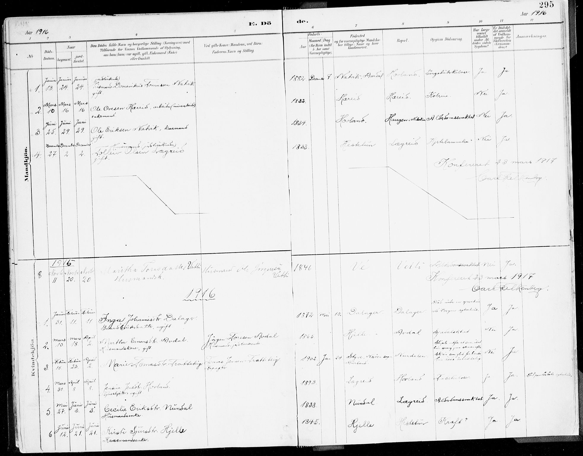 Årdal sokneprestembete, AV/SAB-A-81701: Ministerialbok nr. A 5, 1887-1917, s. 295