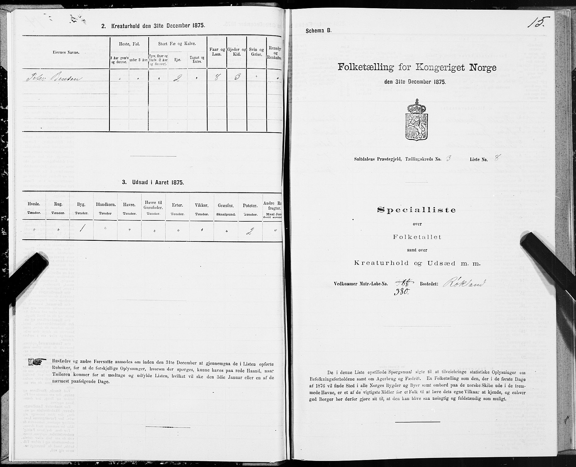 SAT, Folketelling 1875 for 1840P Saltdal prestegjeld, 1875, s. 2015