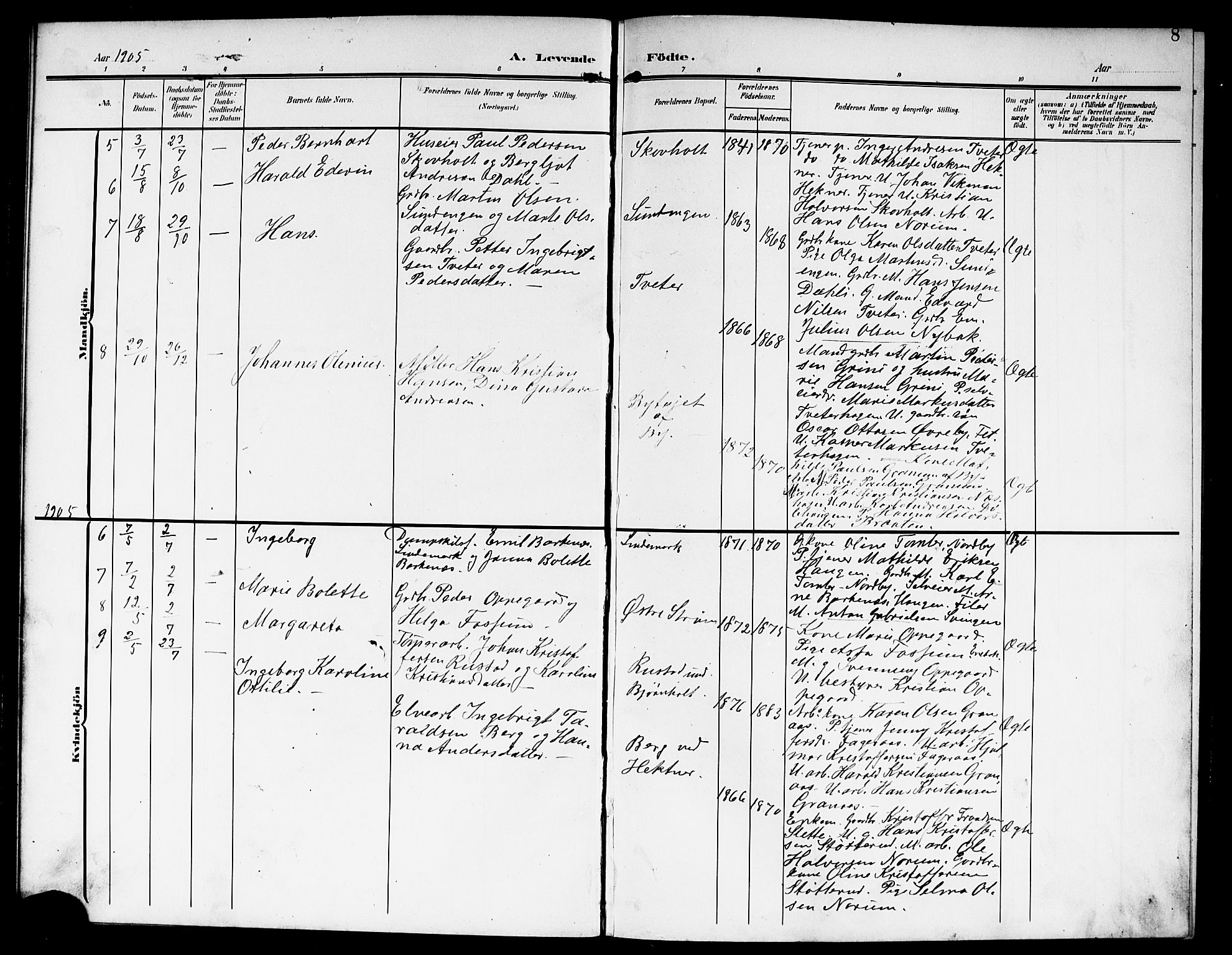 Fet prestekontor Kirkebøker, AV/SAO-A-10370a/G/Gb/L0005: Klokkerbok nr. II 5, 1904-1913, s. 8