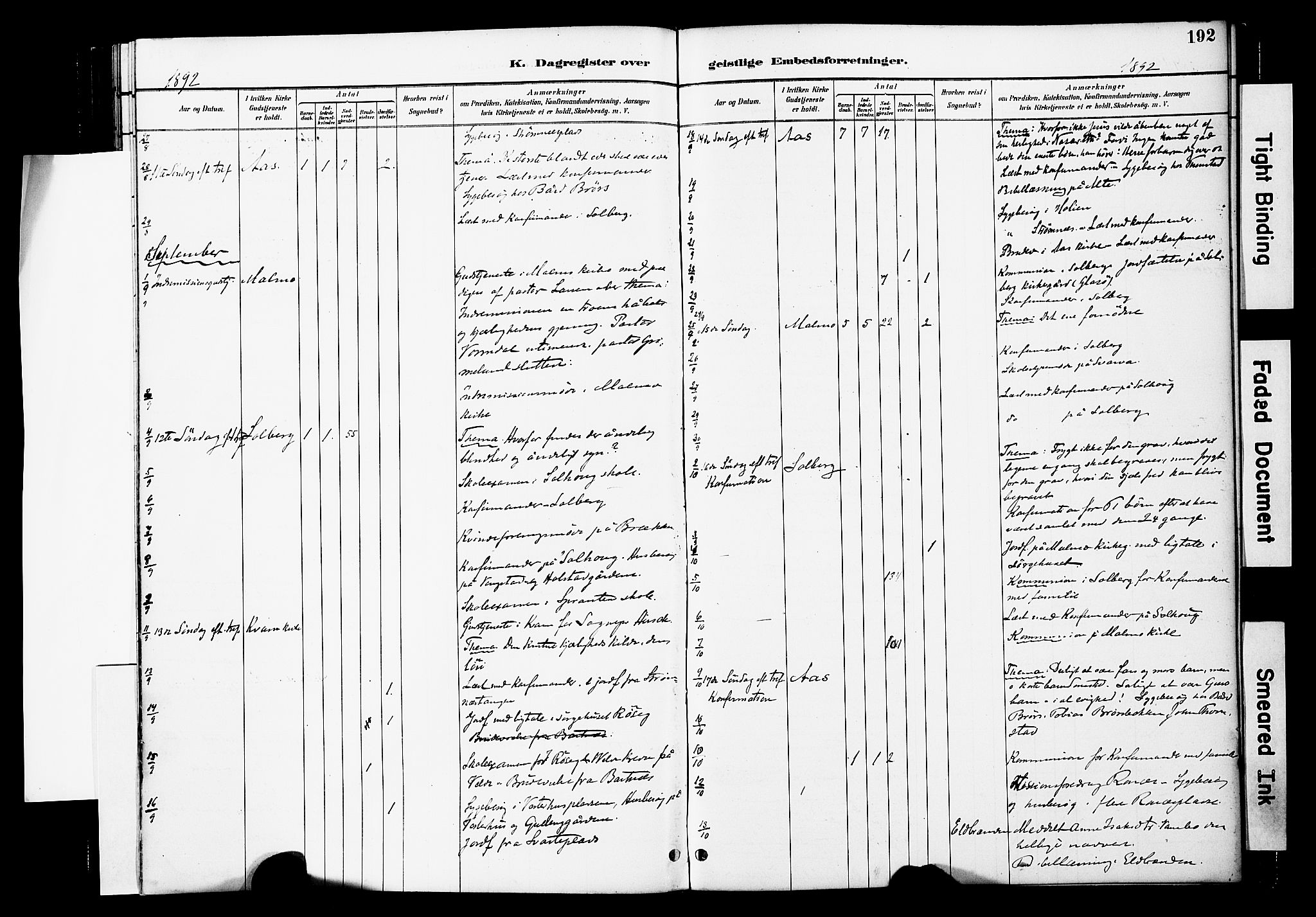 Ministerialprotokoller, klokkerbøker og fødselsregistre - Nord-Trøndelag, SAT/A-1458/741/L0396: Ministerialbok nr. 741A10, 1889-1901, s. 192