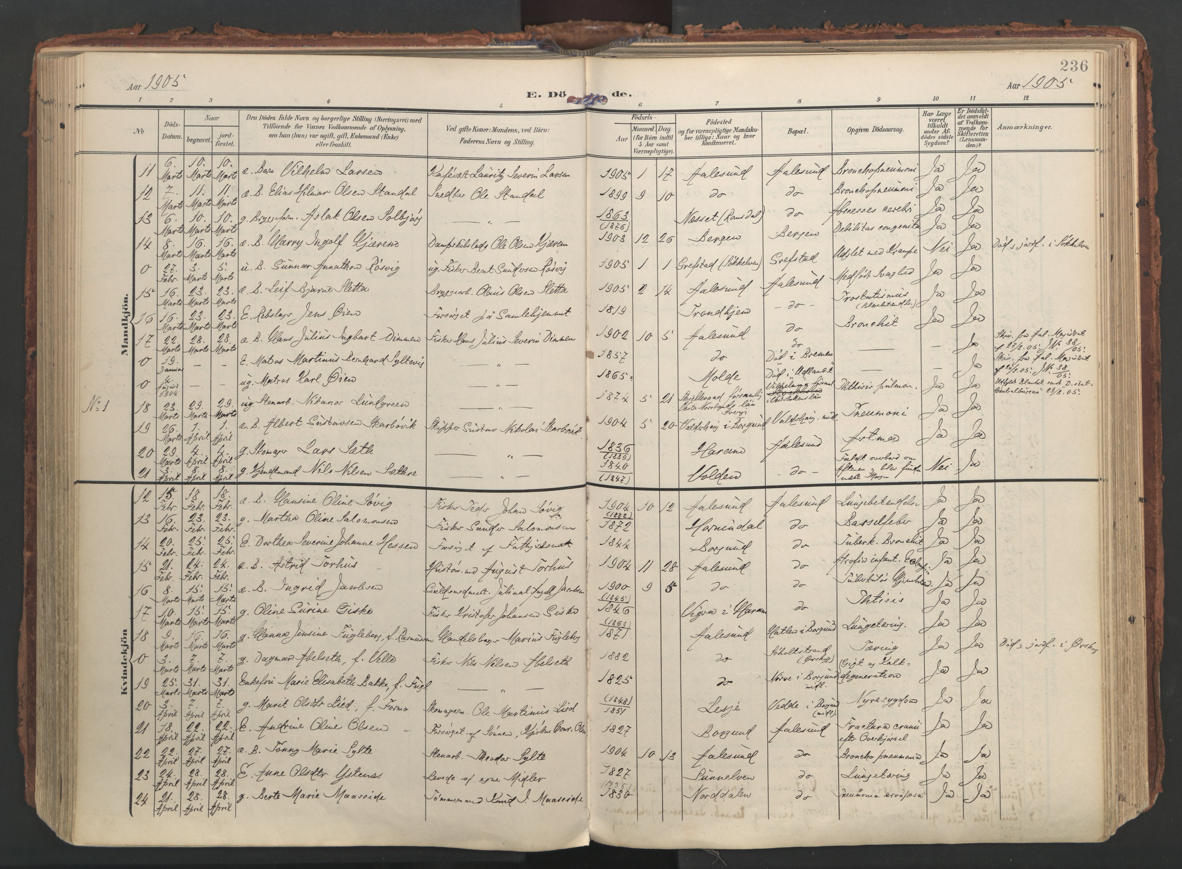 Ministerialprotokoller, klokkerbøker og fødselsregistre - Møre og Romsdal, AV/SAT-A-1454/529/L0459: Ministerialbok nr. 529A09, 1904-1917, s. 236