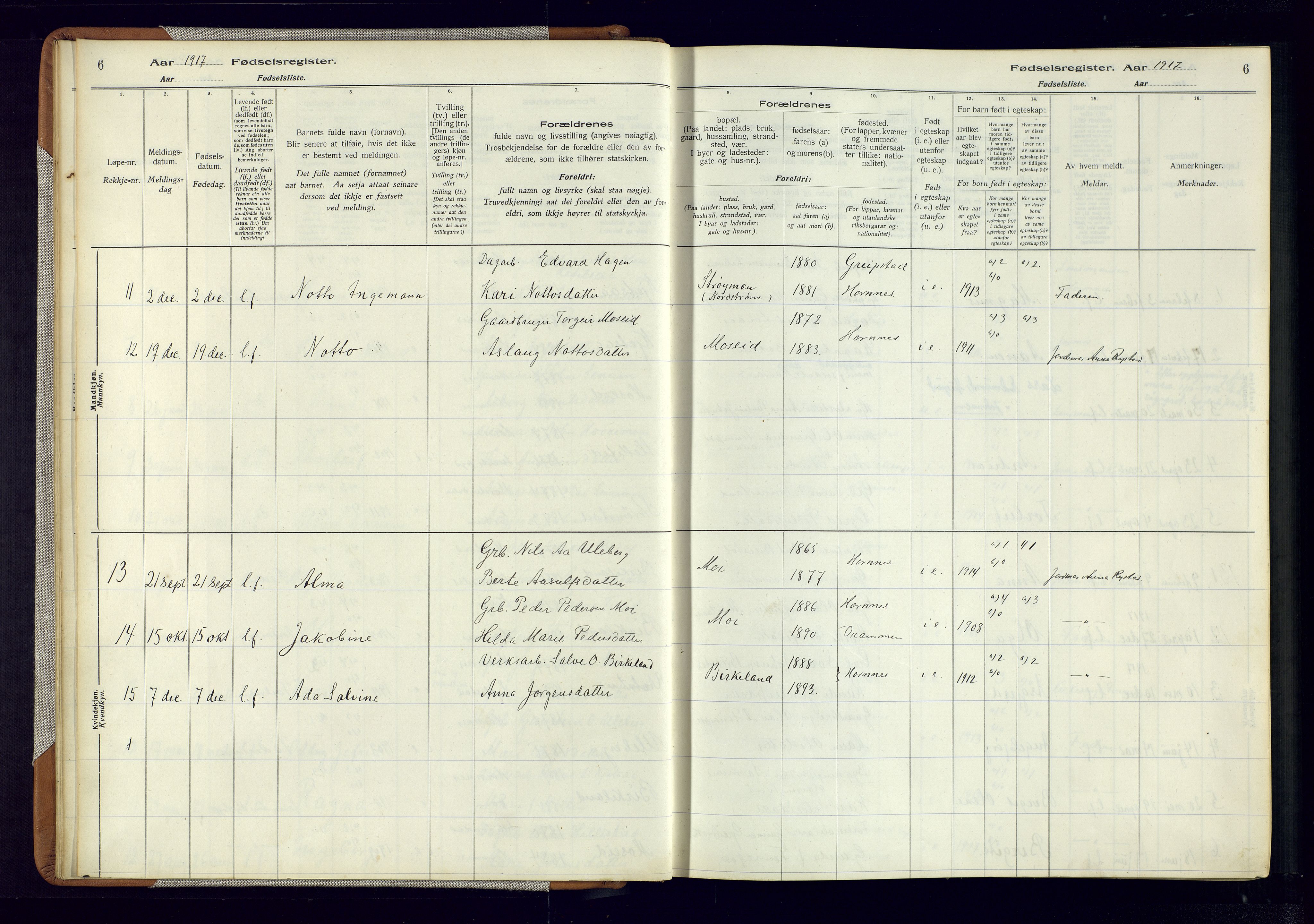 Evje sokneprestkontor, AV/SAK-1111-0008/J/Jc/L0006: Fødselsregister nr. 6, 1916-1982, s. 6