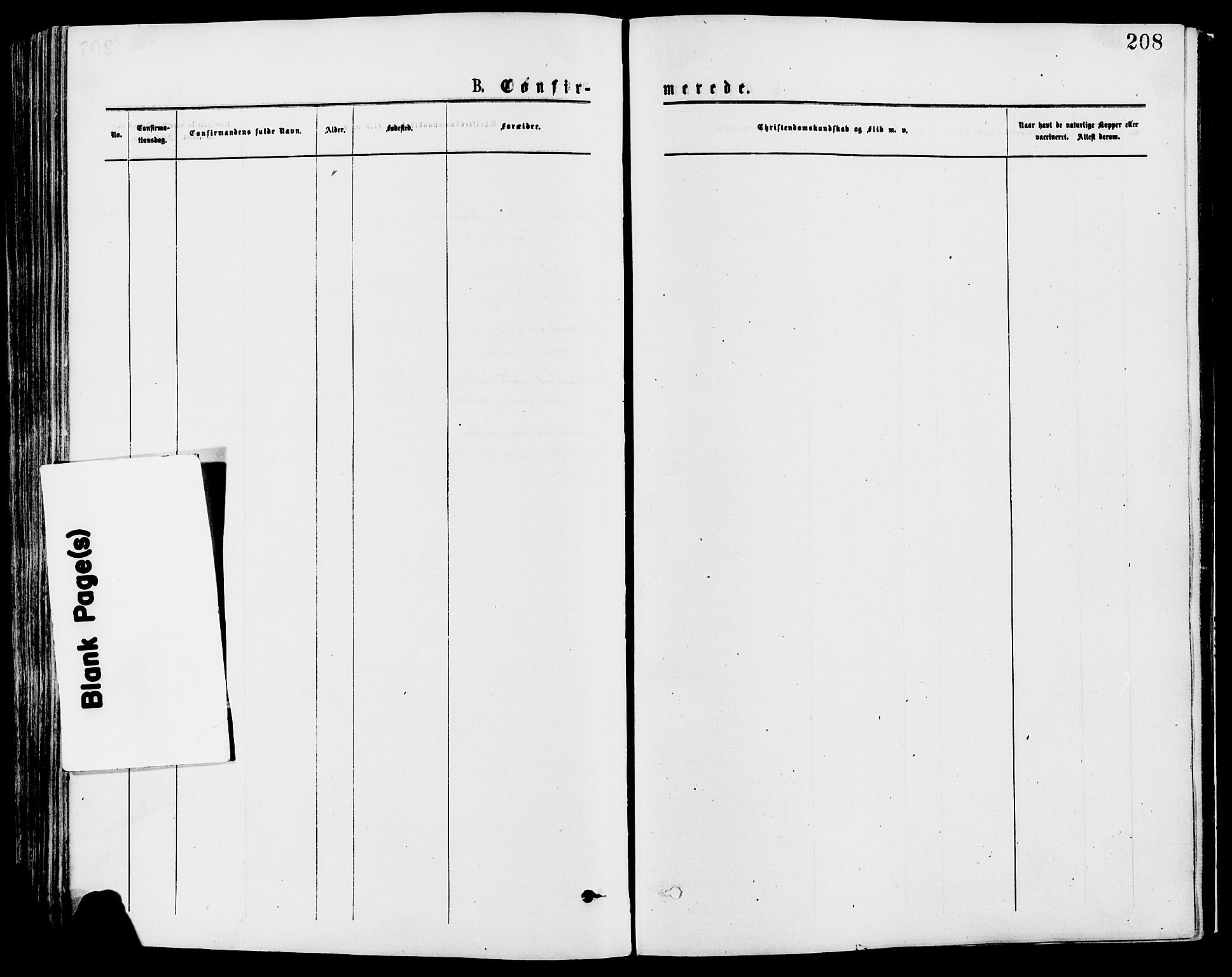 Trysil prestekontor, AV/SAH-PREST-046/H/Ha/Haa/L0007: Ministerialbok nr. 7, 1874-1880, s. 208