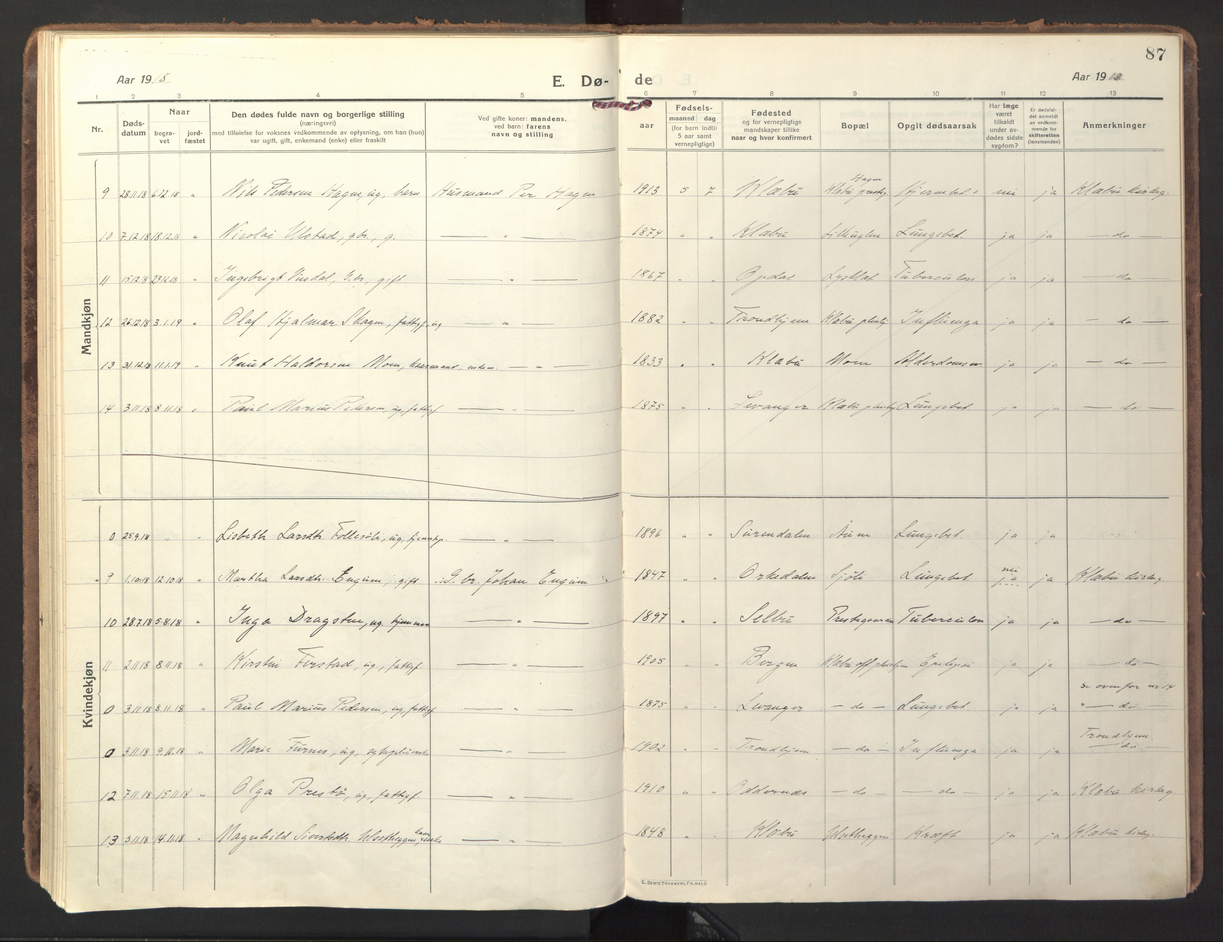 Ministerialprotokoller, klokkerbøker og fødselsregistre - Sør-Trøndelag, SAT/A-1456/618/L0449: Ministerialbok nr. 618A12, 1917-1924, s. 87