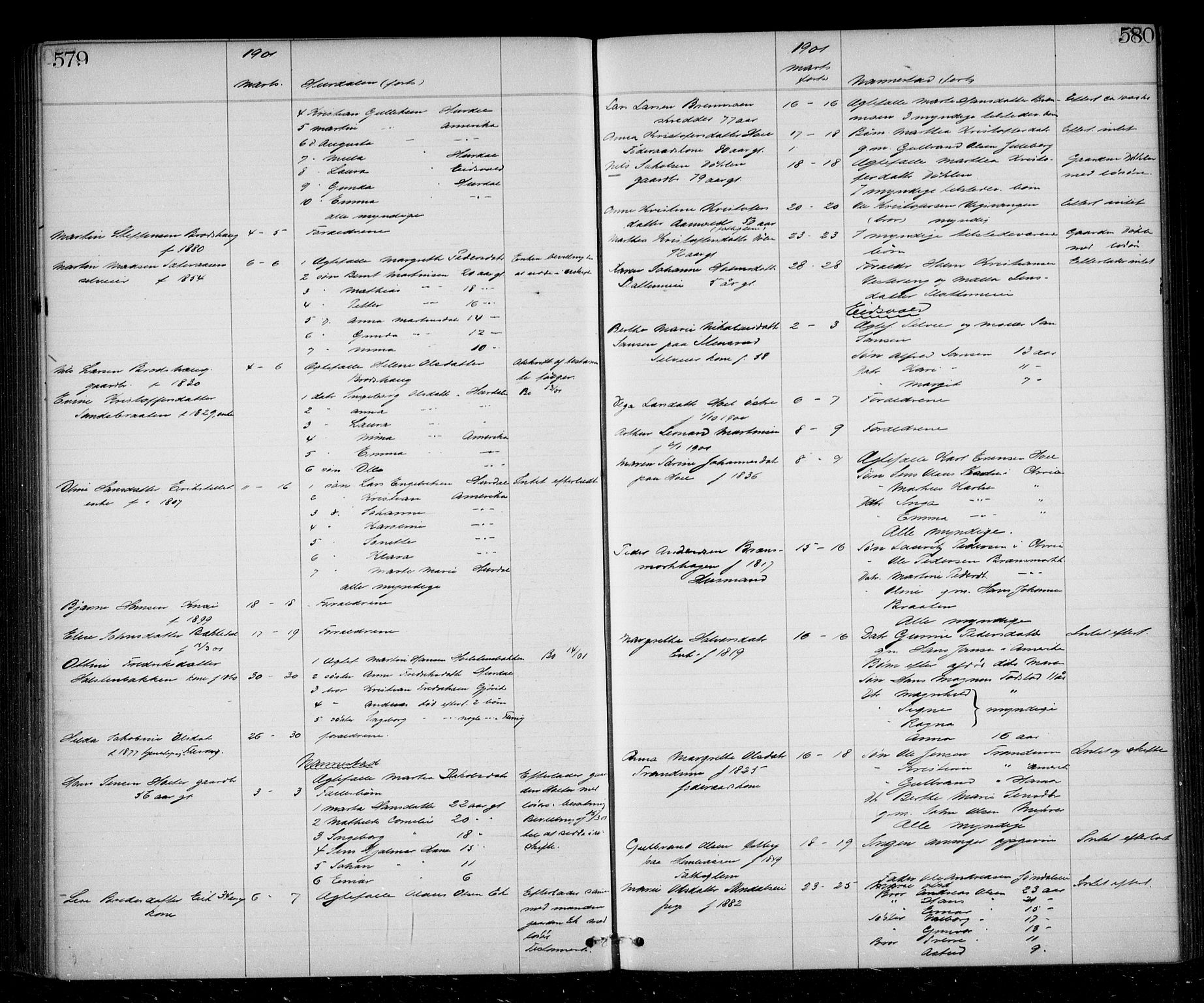 Eidsvoll tingrett, AV/SAO-A-10371/H/Ha/Haa/L0002: Dødsmeldingsprotokoll - Sorenskriveriet, 1863-1910, s. 579-580