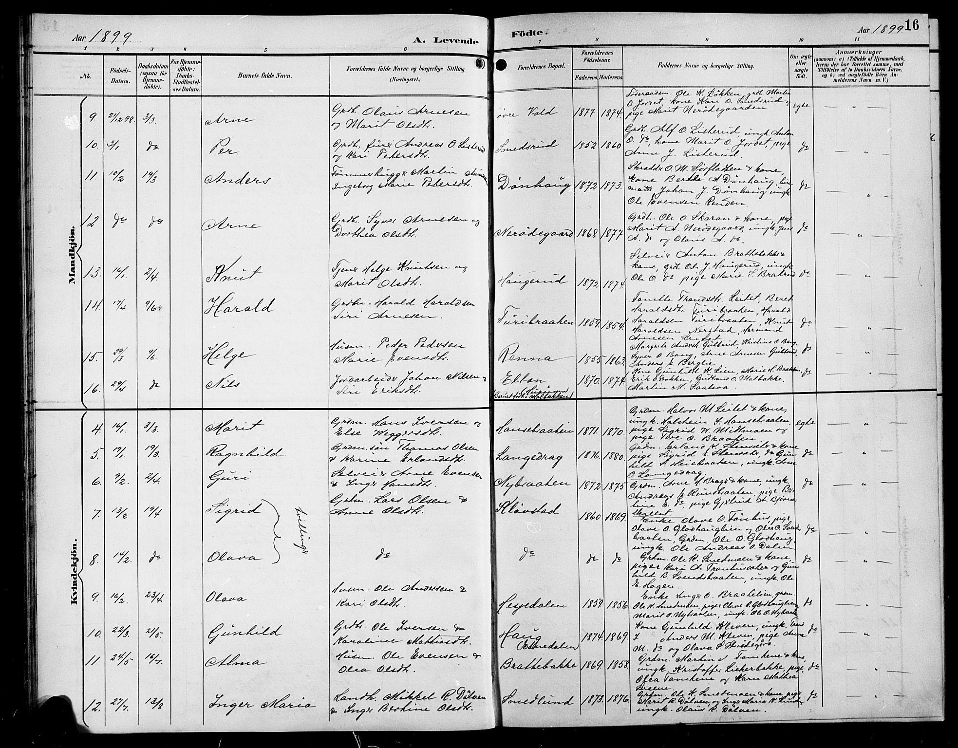 Sør-Aurdal prestekontor, AV/SAH-PREST-128/H/Ha/Hab/L0009: Klokkerbok nr. 9, 1894-1924, s. 16