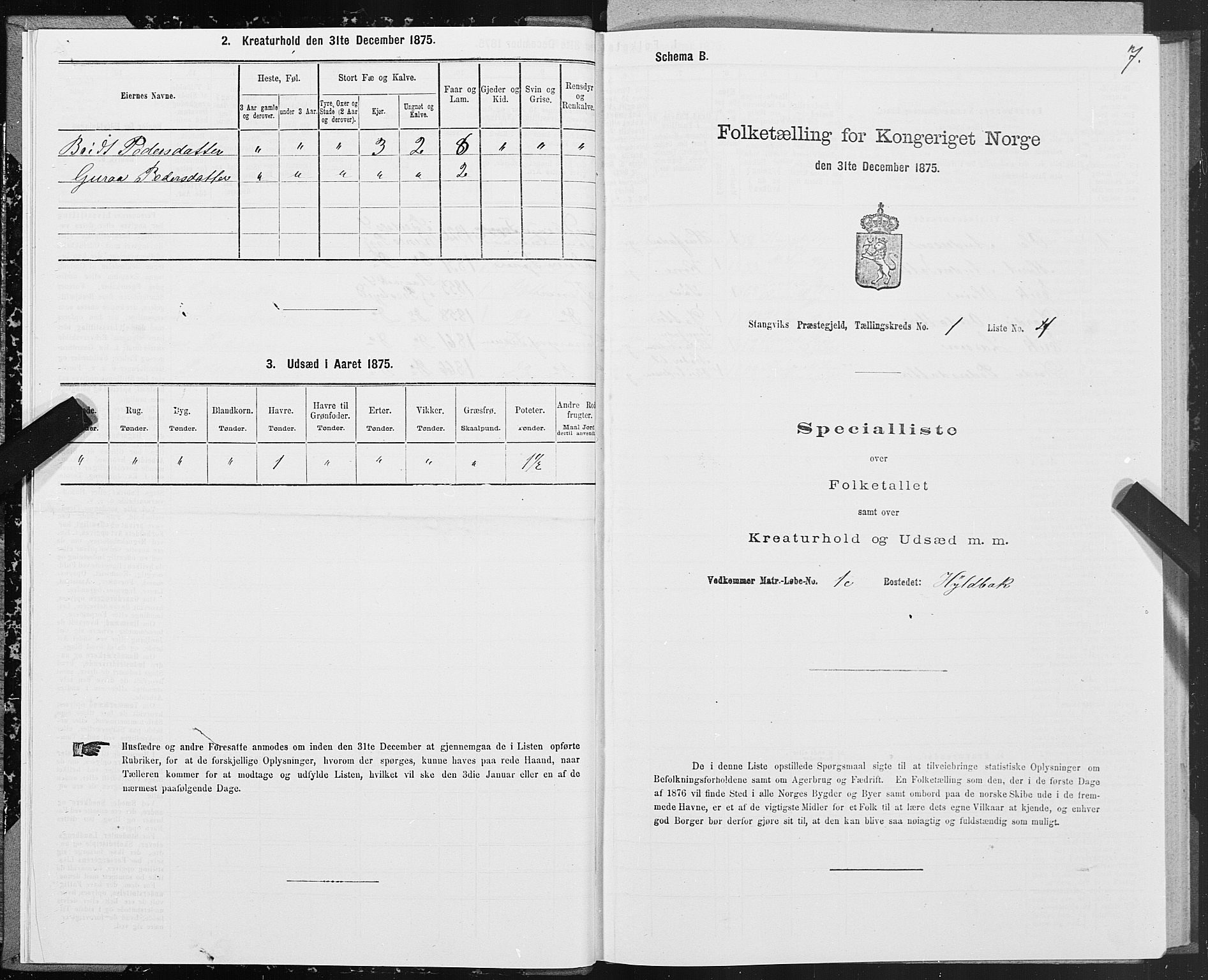 SAT, Folketelling 1875 for 1564P Stangvik prestegjeld, 1875, s. 1007