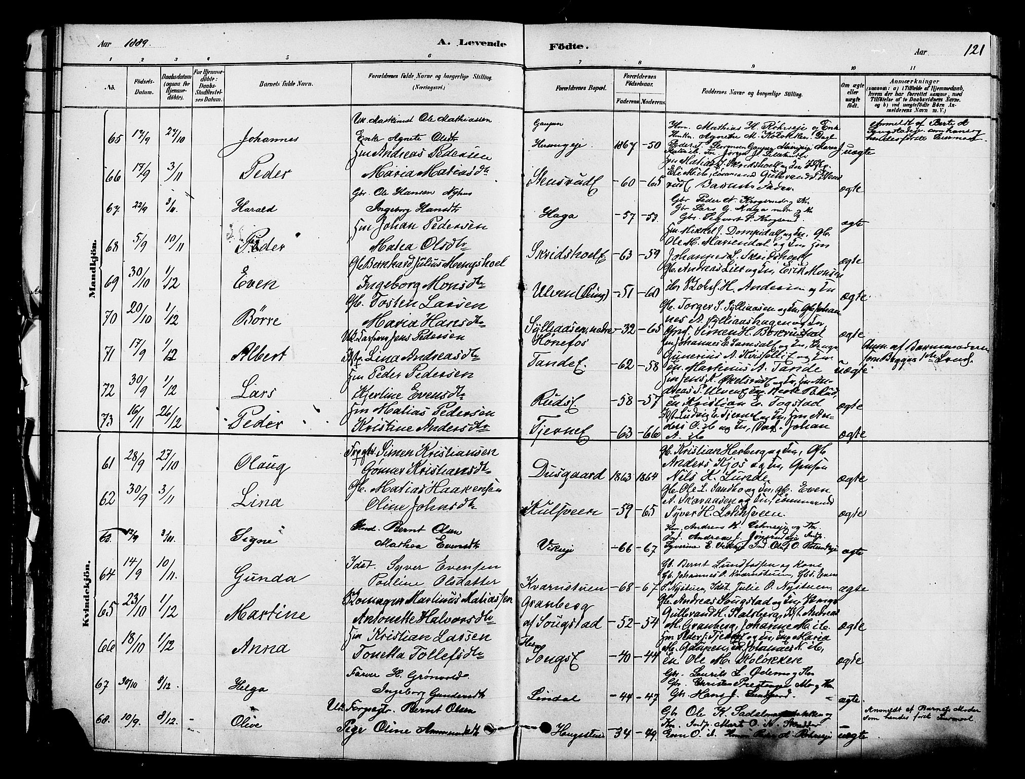 Ringsaker prestekontor, AV/SAH-PREST-014/K/Ka/L0012: Ministerialbok nr. 12, 1879-1890, s. 121