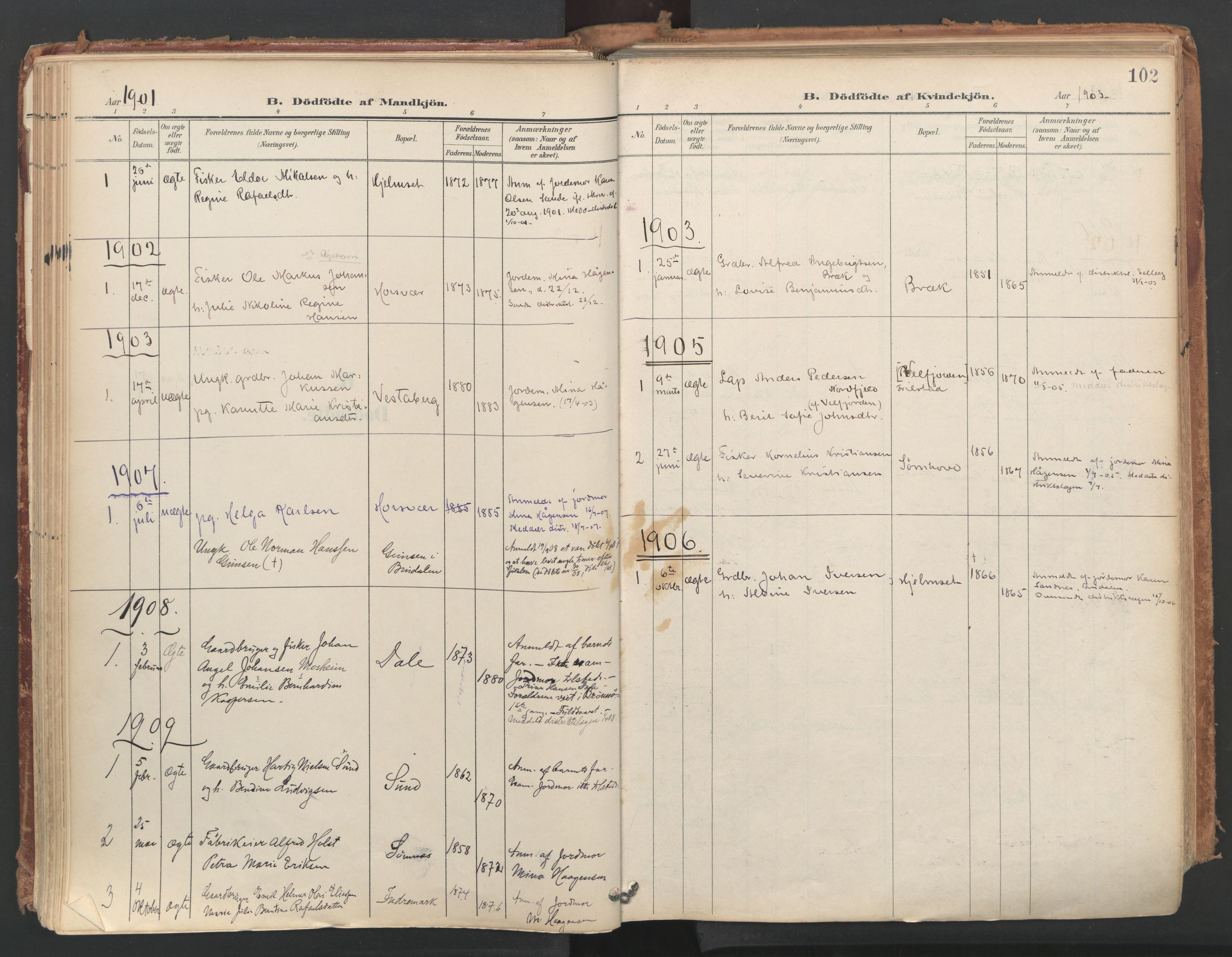 Ministerialprotokoller, klokkerbøker og fødselsregistre - Nordland, AV/SAT-A-1459/812/L0180: Ministerialbok nr. 812A09, 1901-1915, s. 102