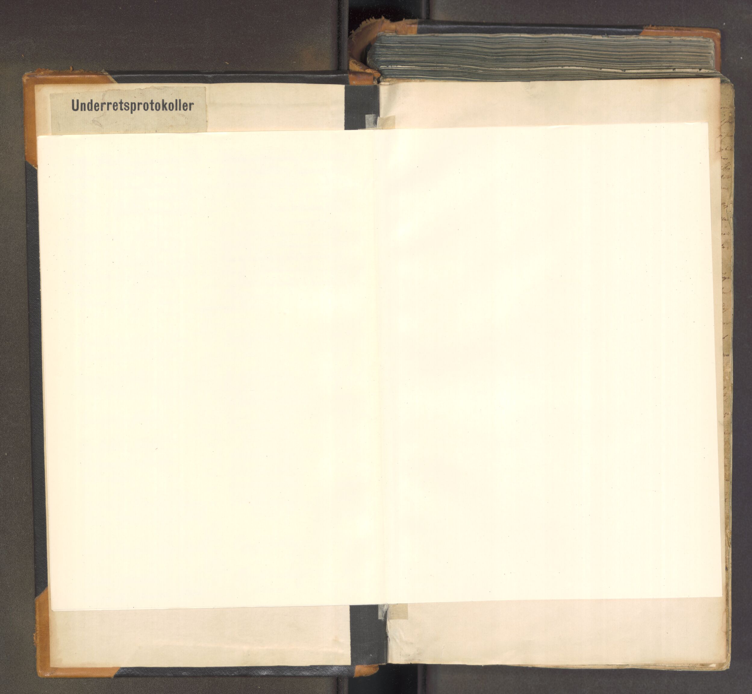 Søndre Jarlsberg sorenskriveri, AV/SAKO-A-129/F/Fa/L0030: Tingbok, 1826-1830