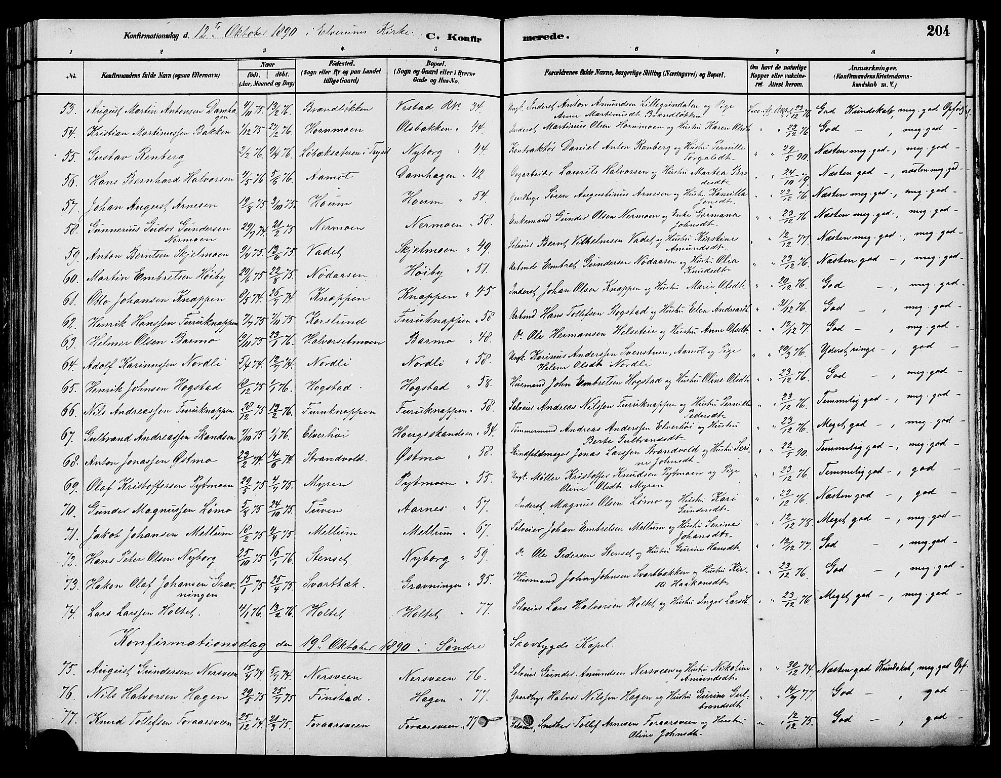 Elverum prestekontor, AV/SAH-PREST-044/H/Ha/Haa/L0013: Ministerialbok nr. 13, 1880-1890, s. 204
