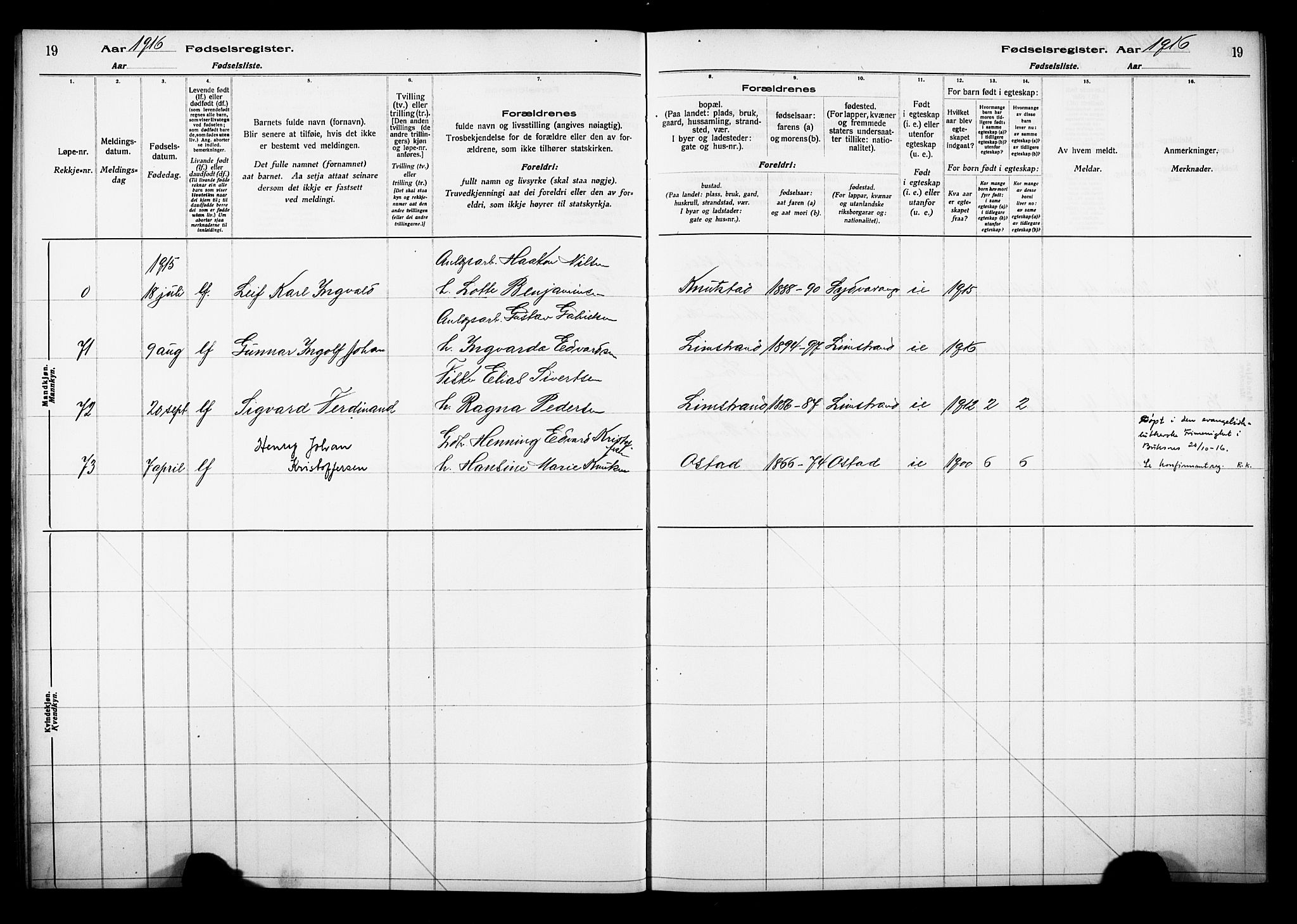 Ministerialprotokoller, klokkerbøker og fødselsregistre - Nordland, AV/SAT-A-1459/880/L1145: Fødselsregister nr. 880.II.4.1, 1916-1929, s. 19
